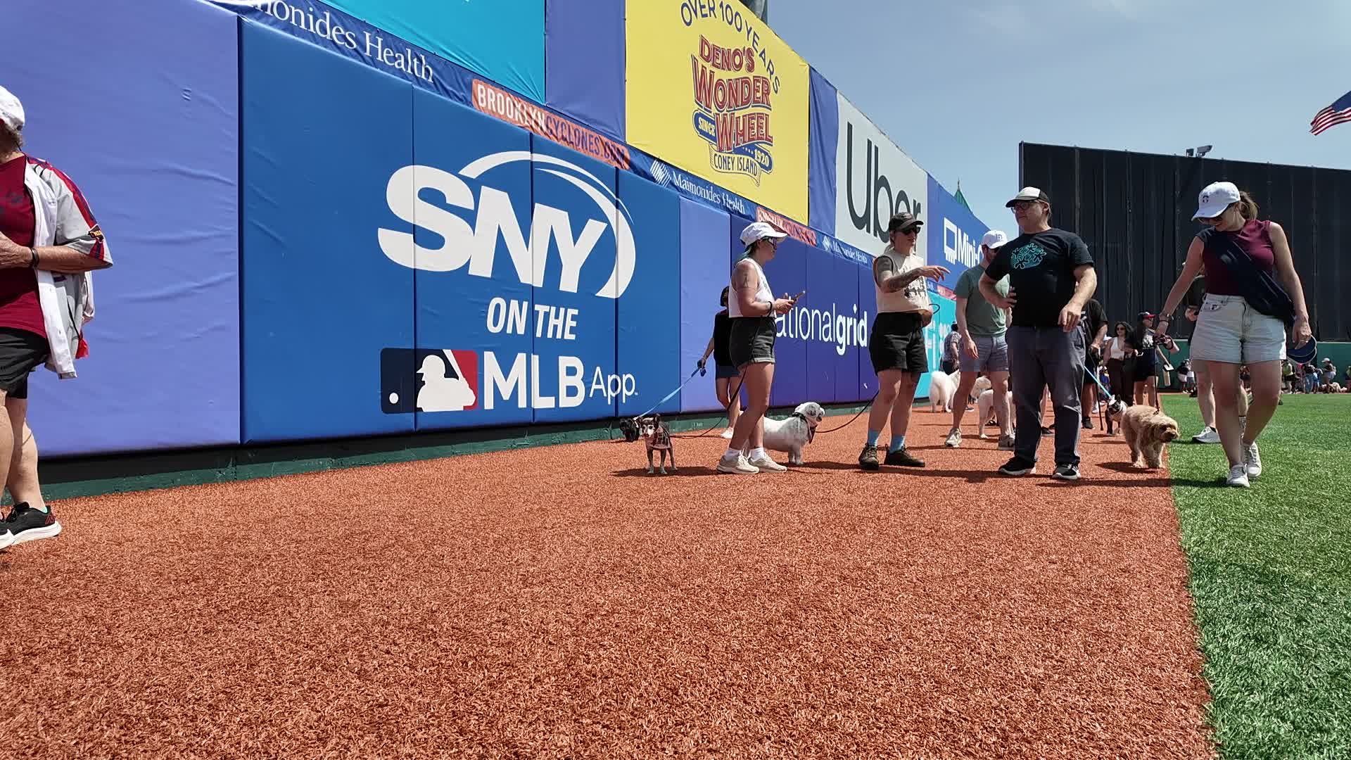 Bark in the Park