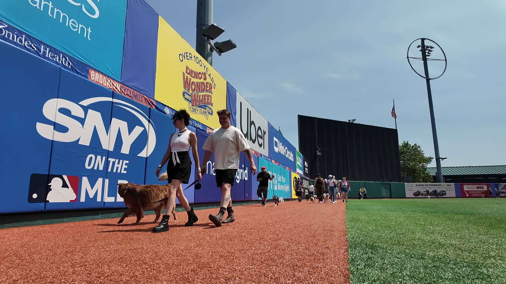 Bark in the Park