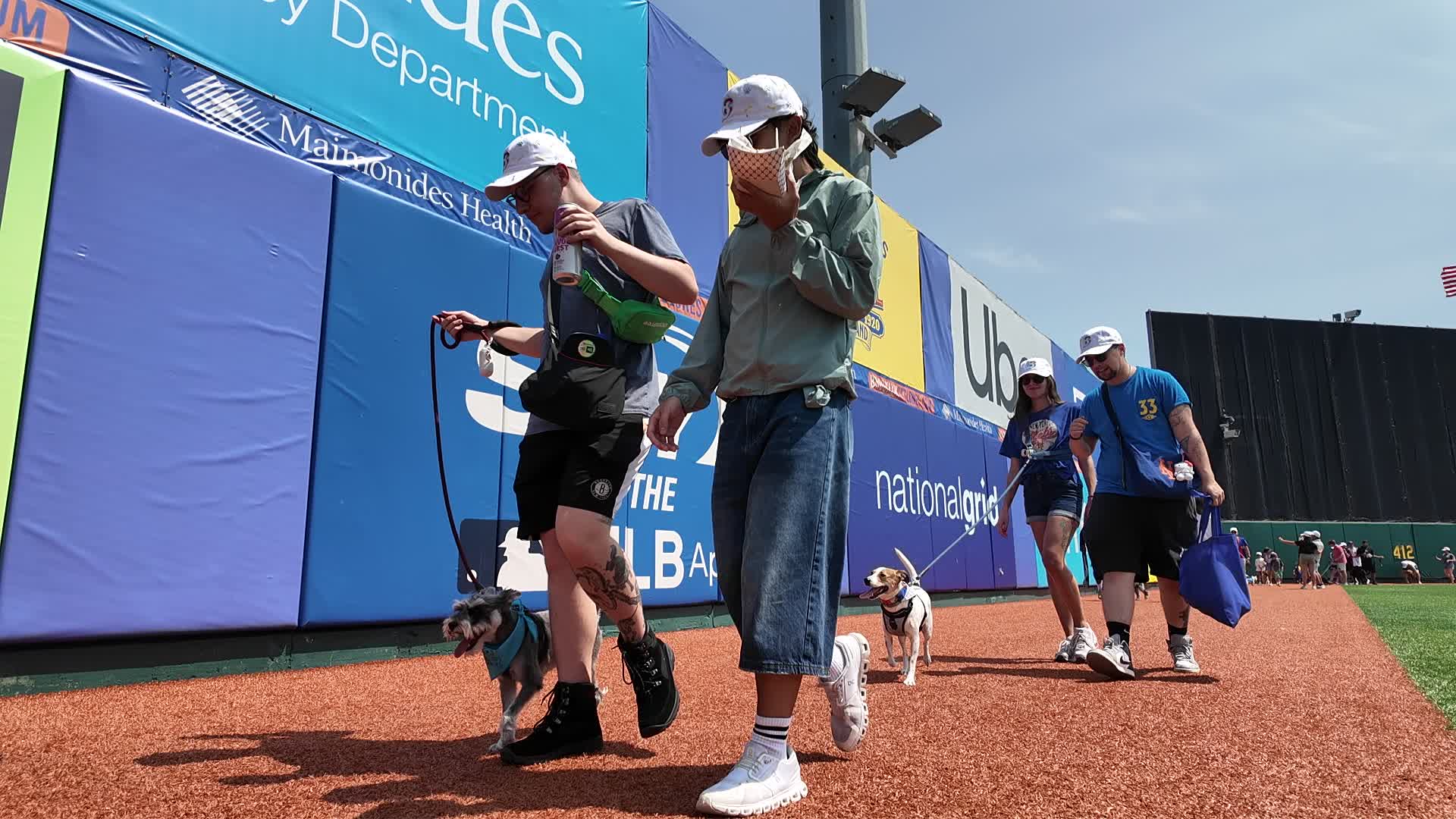 Bark in the Park