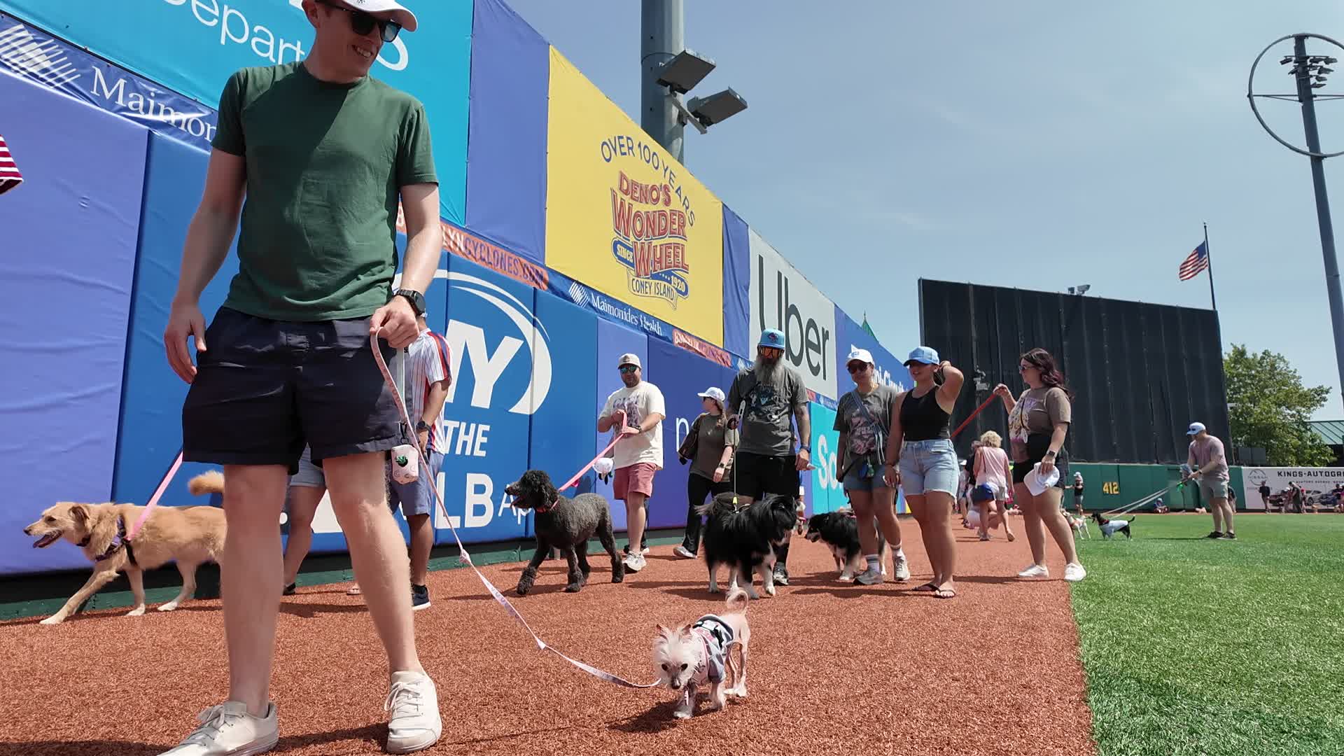 Bark in the Park