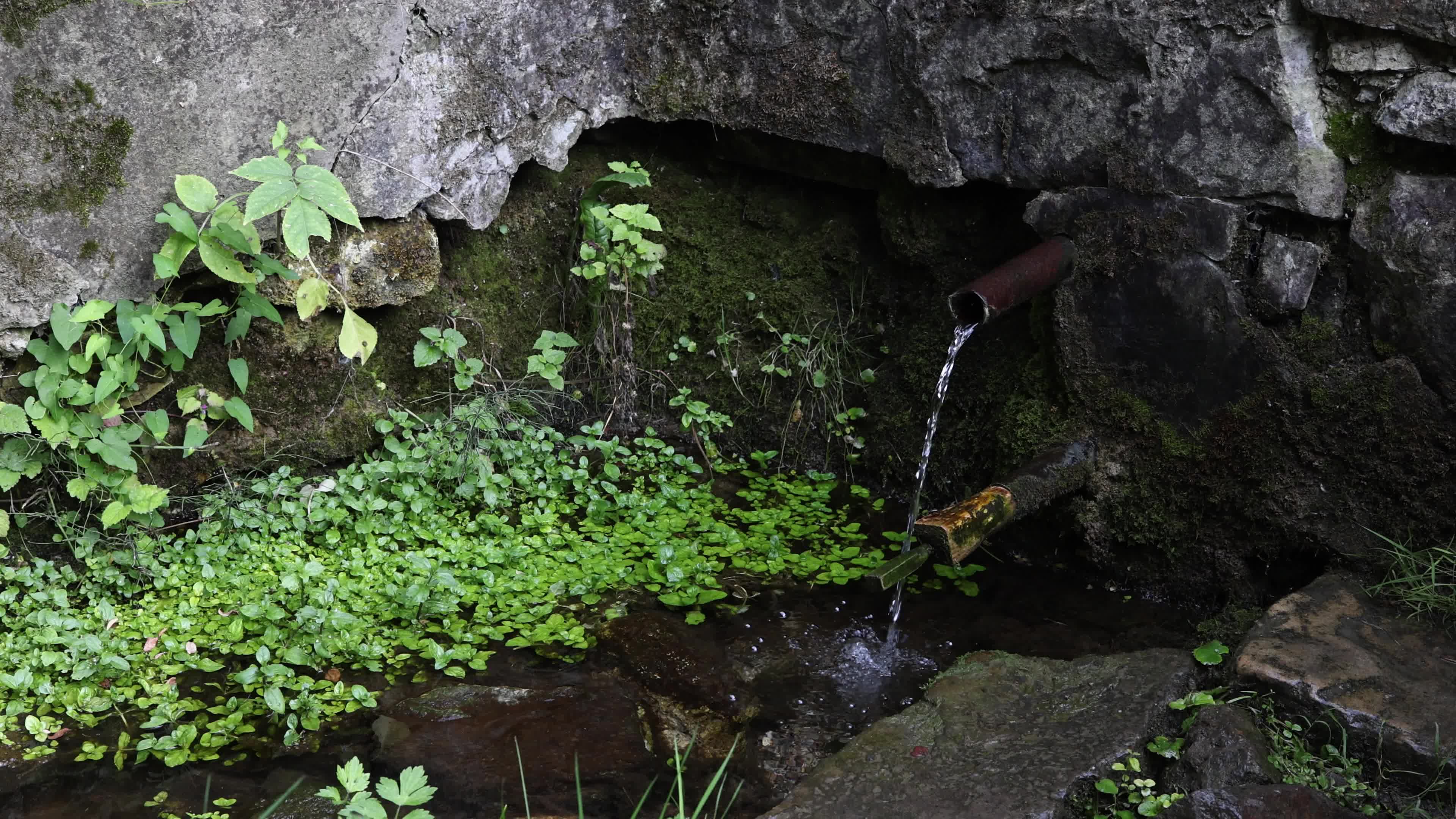 Natural Spring in Fruska Gora National Park