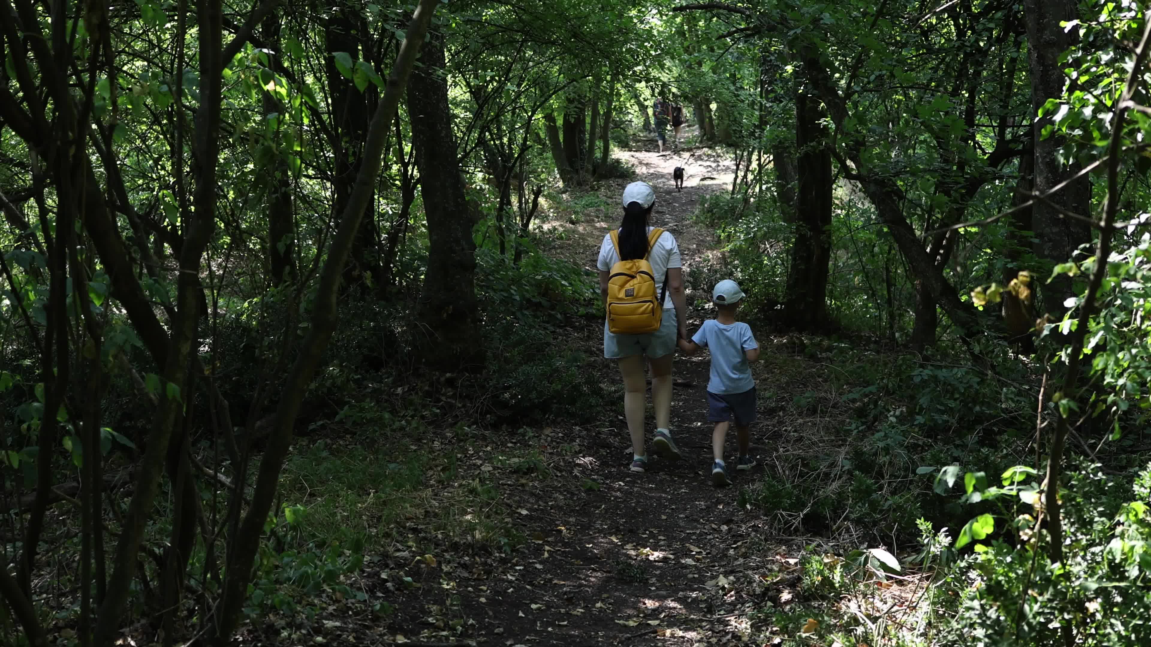 Hiking trail in Fruska Gora National Park