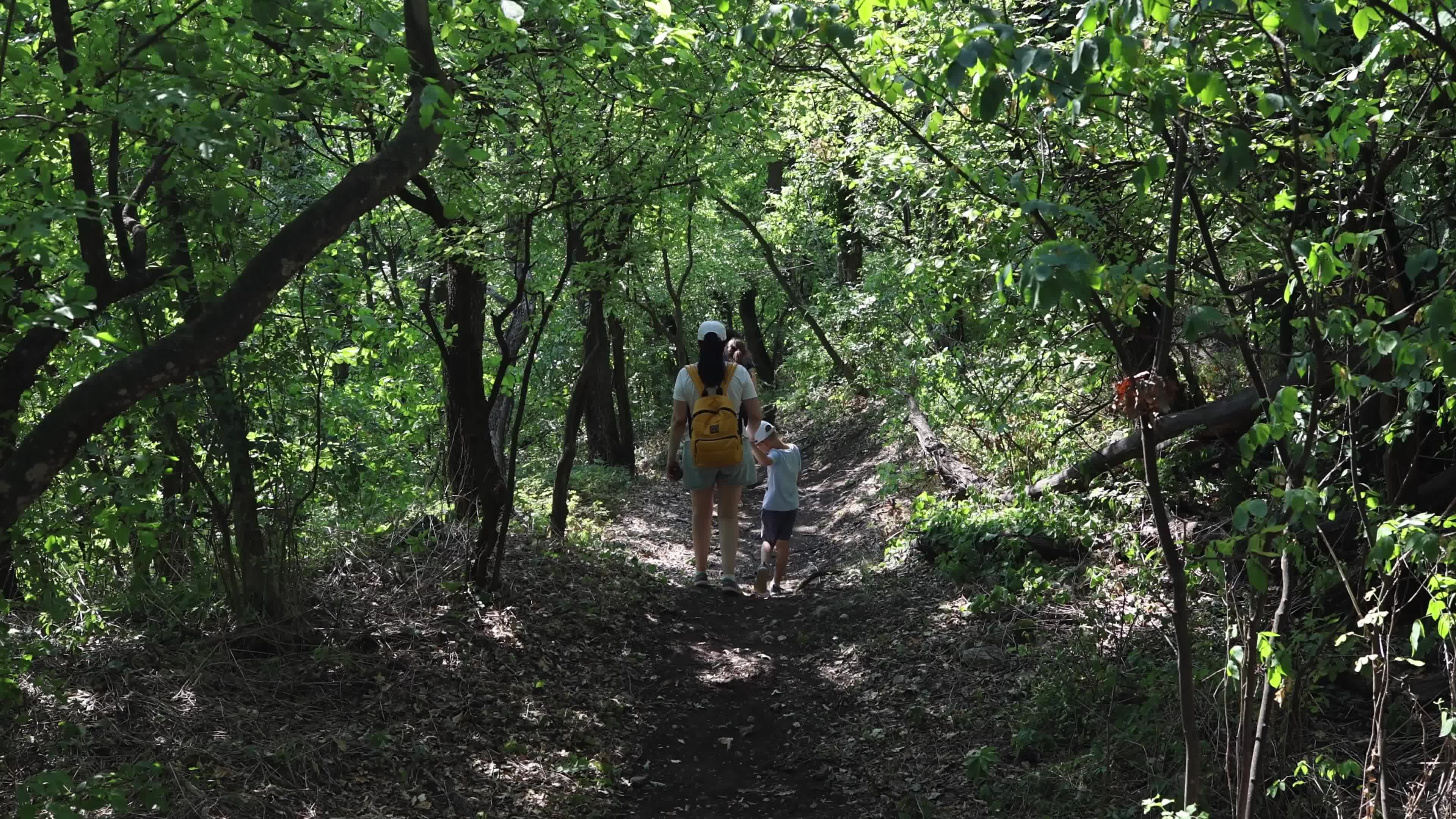 Hiking trail in Fruska Gora National Park