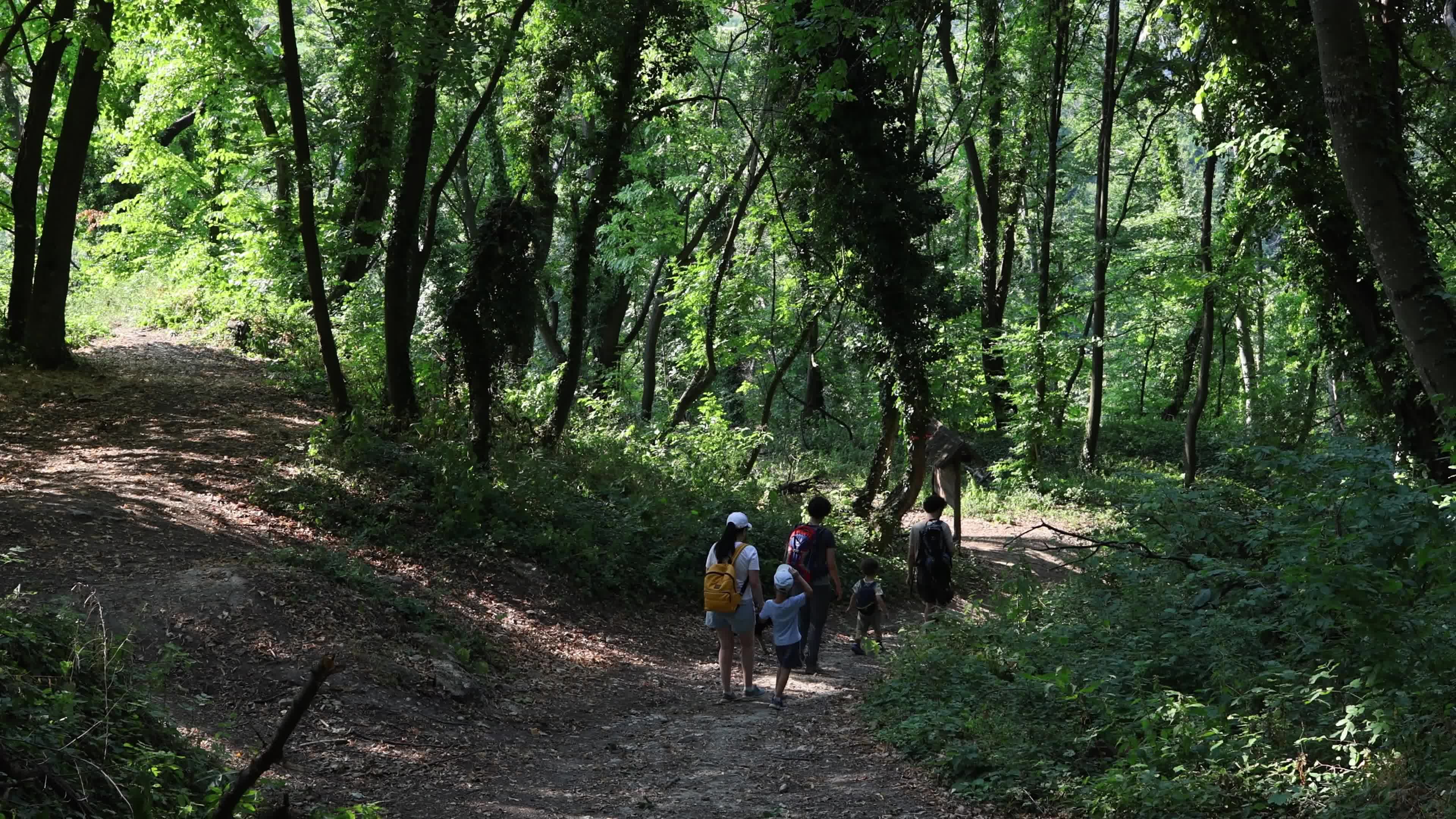 Walking Trail in Fruska Gora National Park