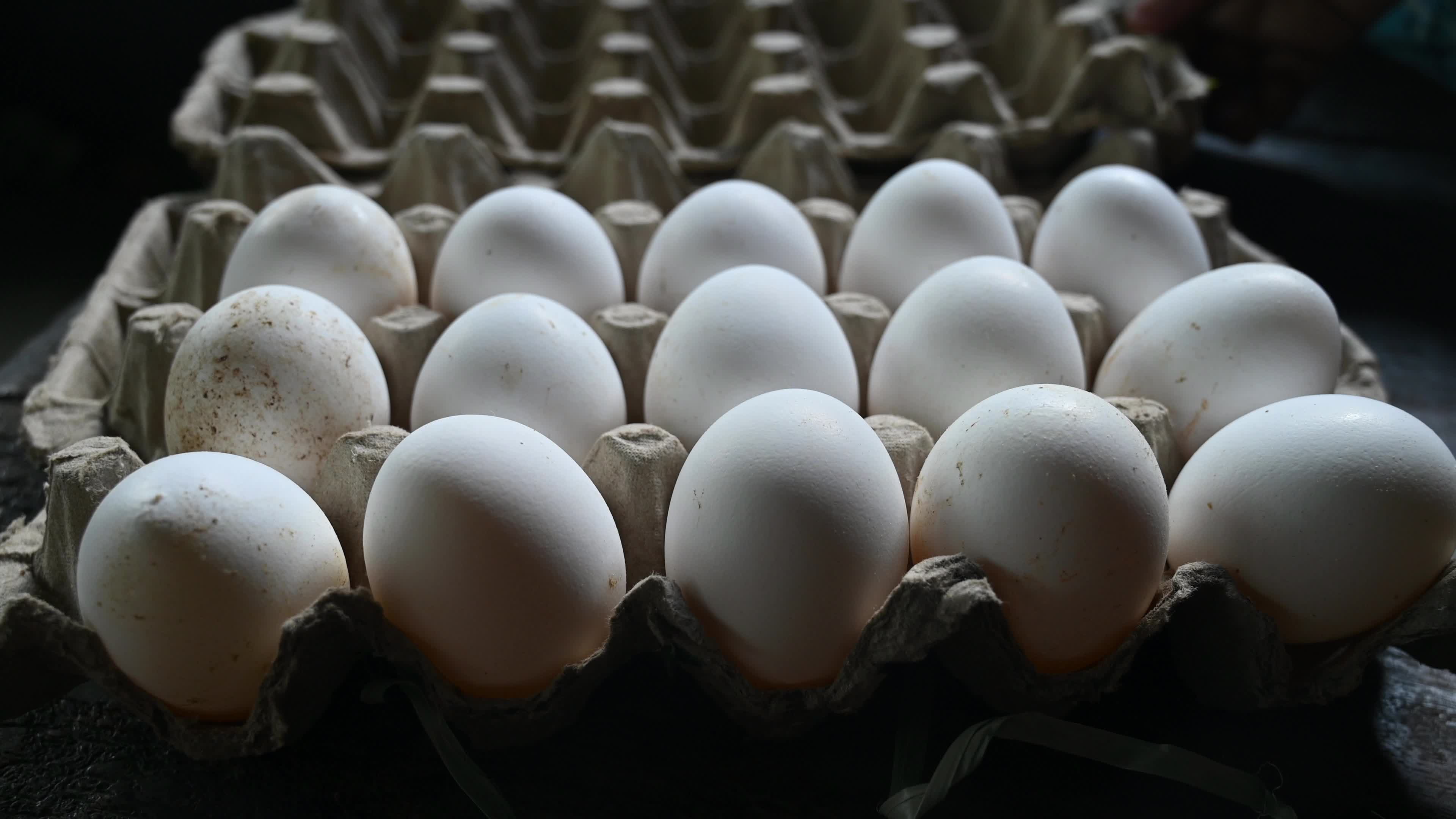 Poultry eggs in India - Chicken eggs
