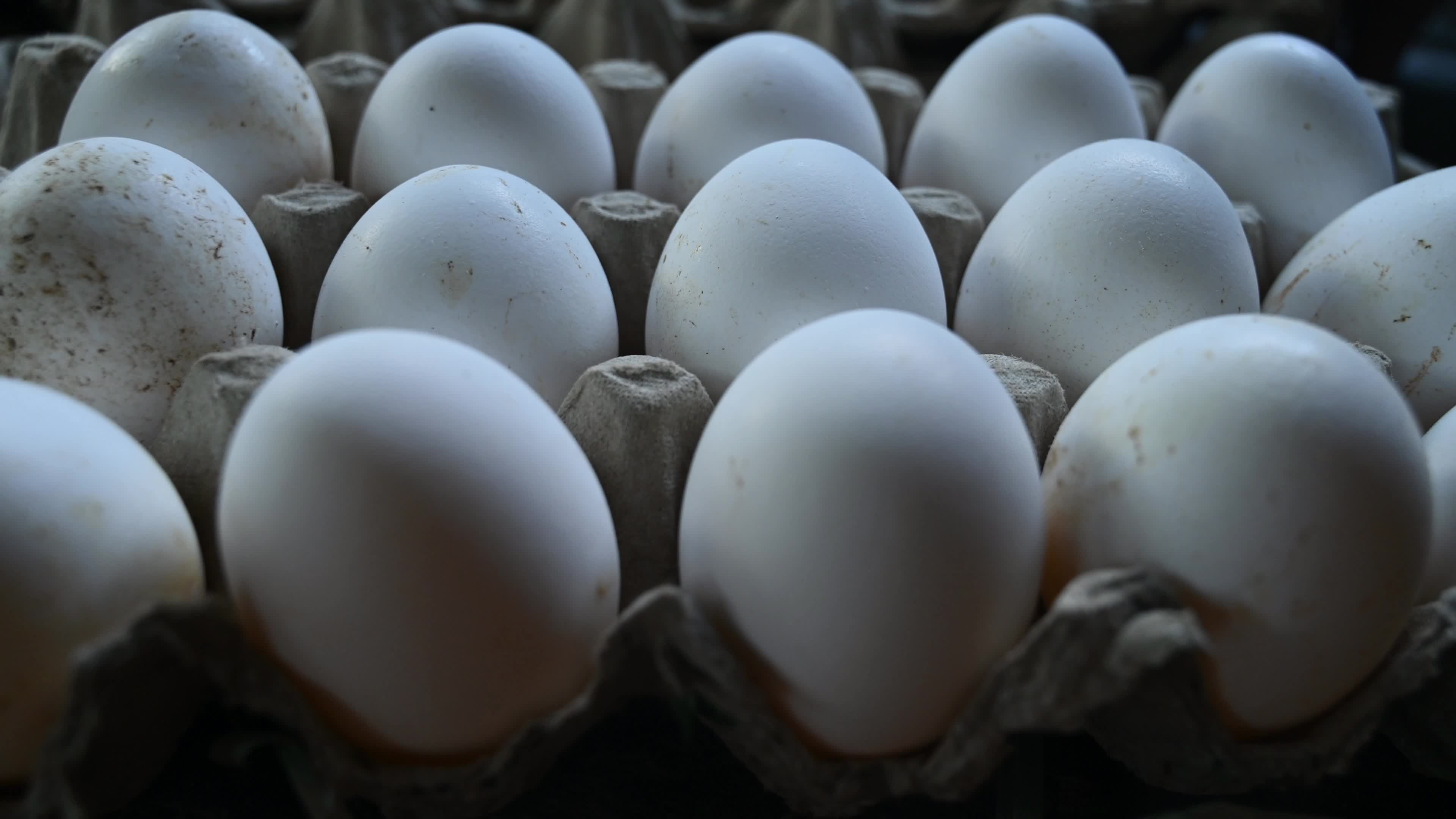 Poultry eggs in India - Chicken eggs
