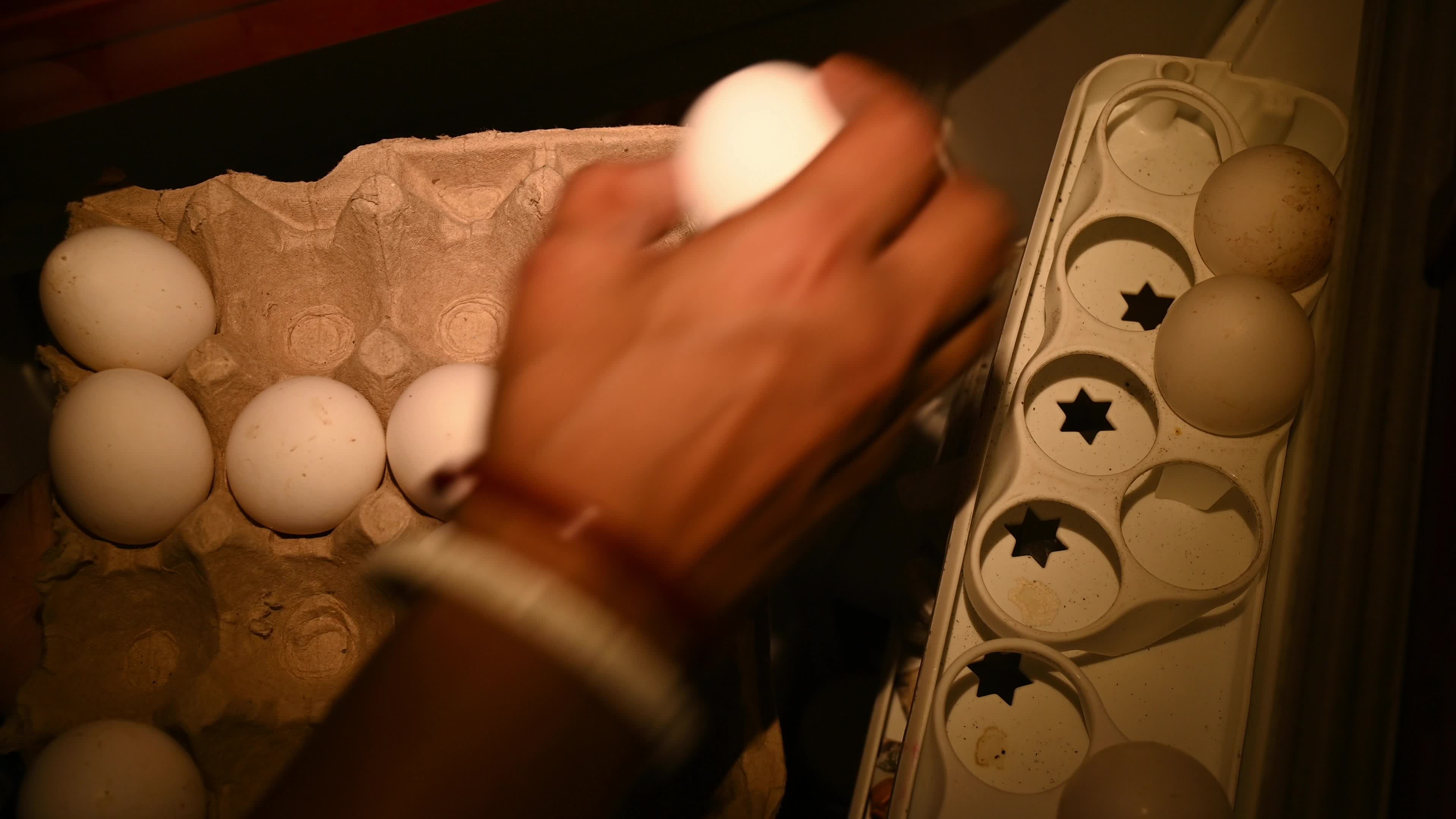 Poultry eggs in India - Chicken eggs