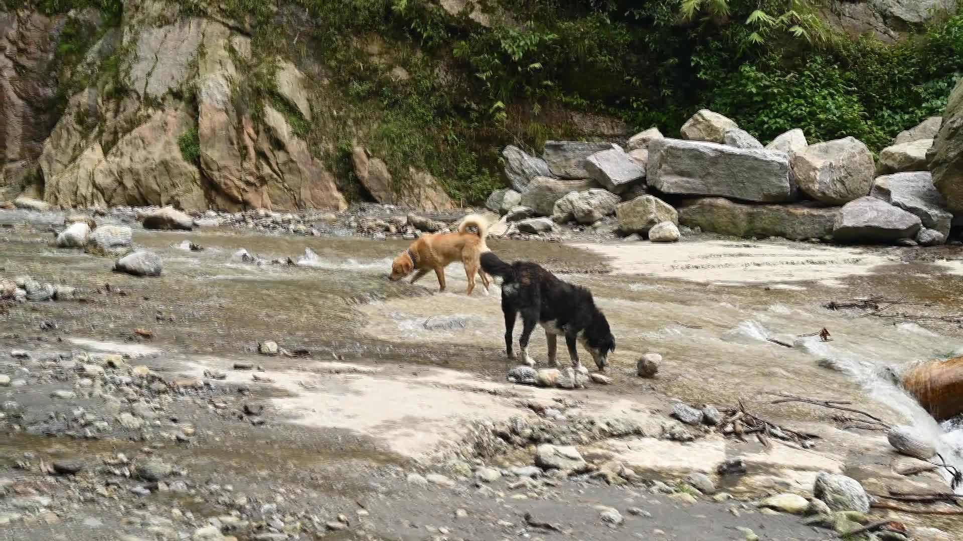 Que Khola Falls - Adventure Park - Himalayan Falls - 04/16/2026