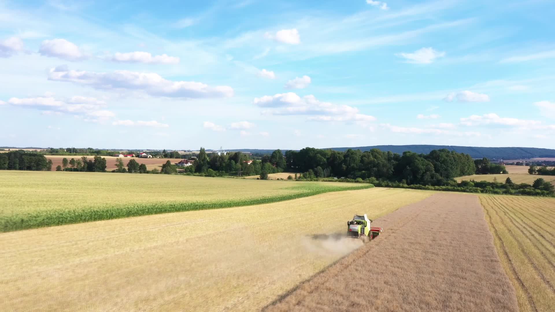 Farmers complain about drought in Poland - 07/25/2026
