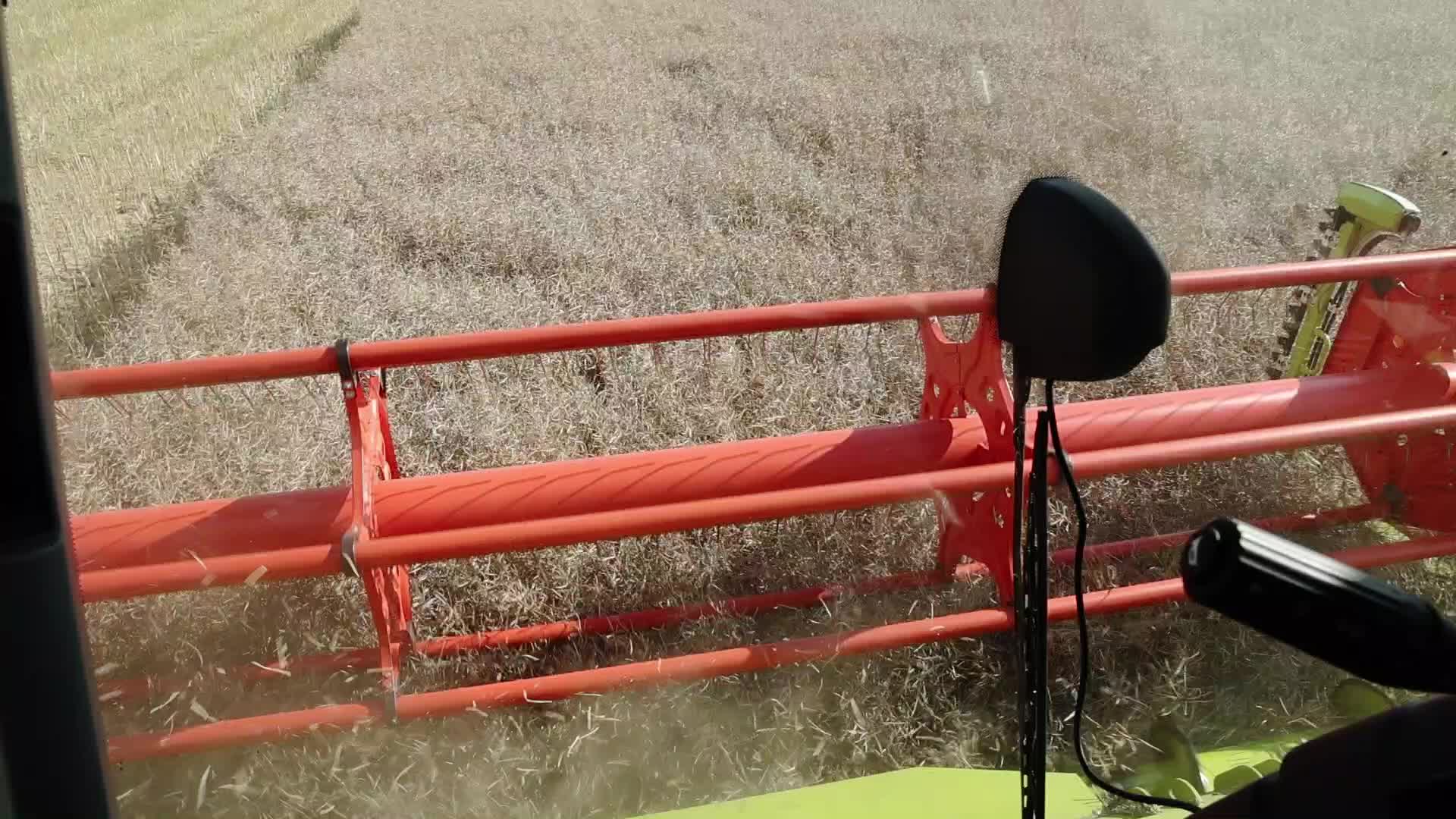 Farmers complain about drought in Poland