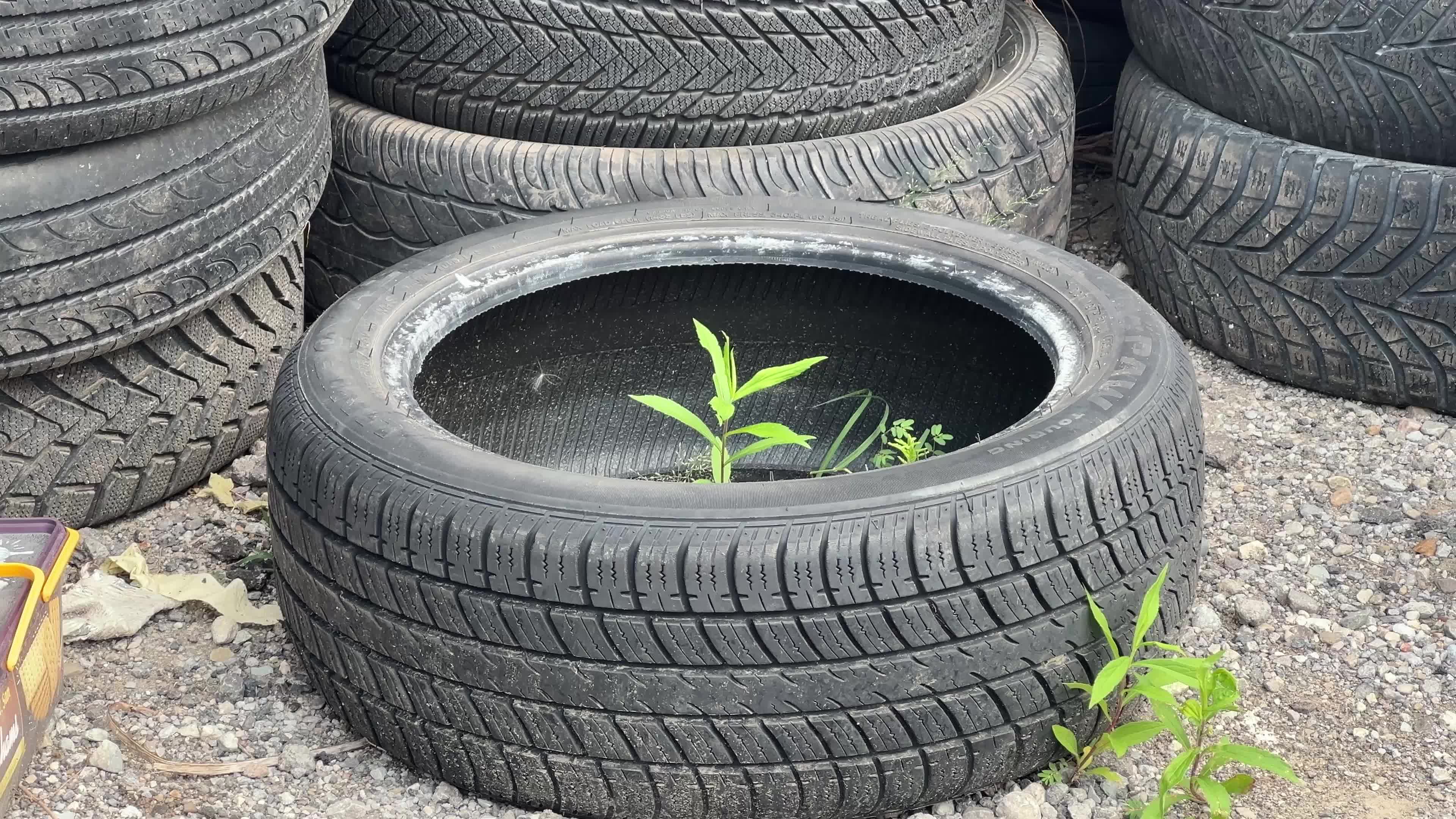 Environmental issue - used tires
