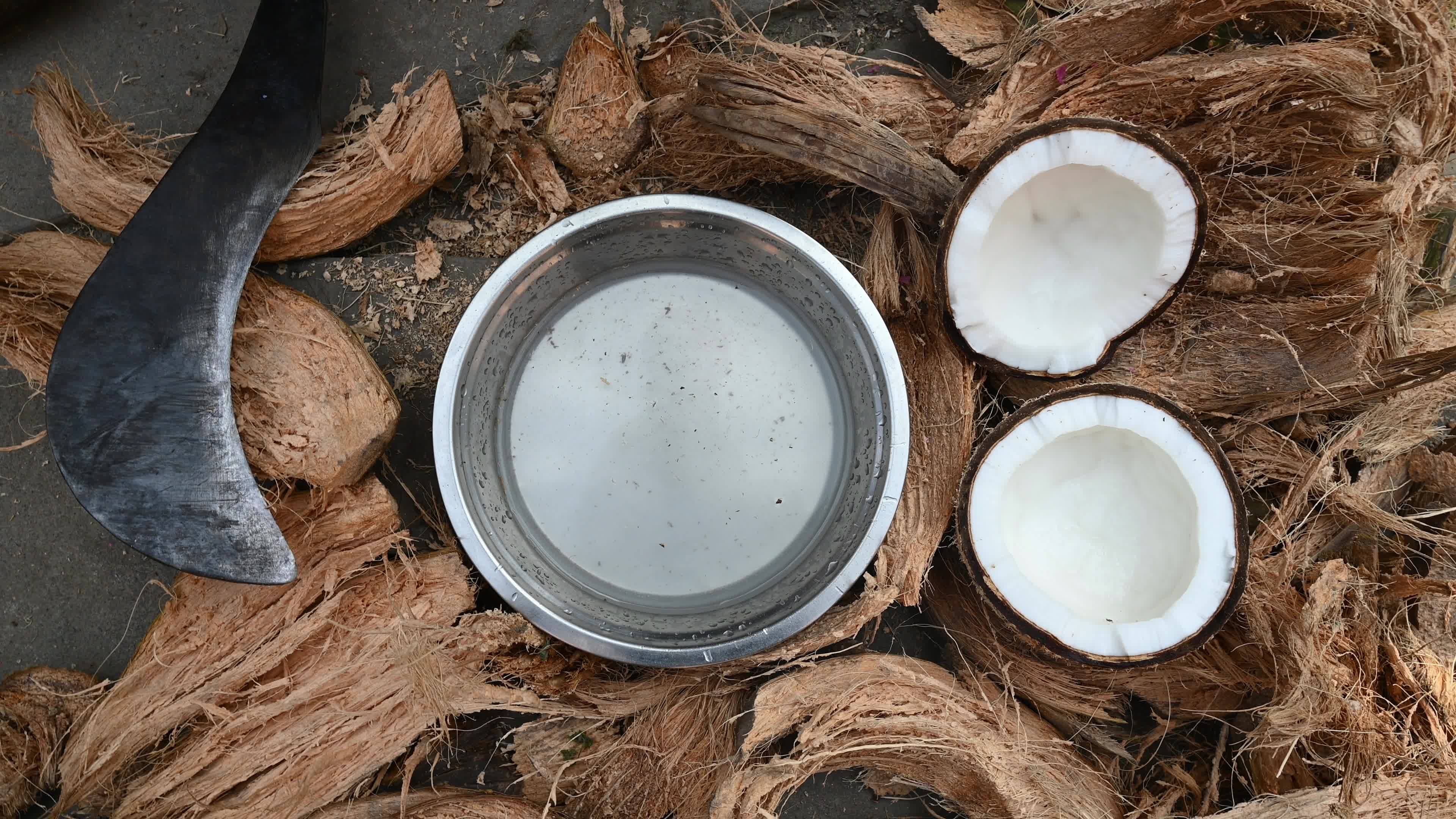 Coconut production - Agriculture in India