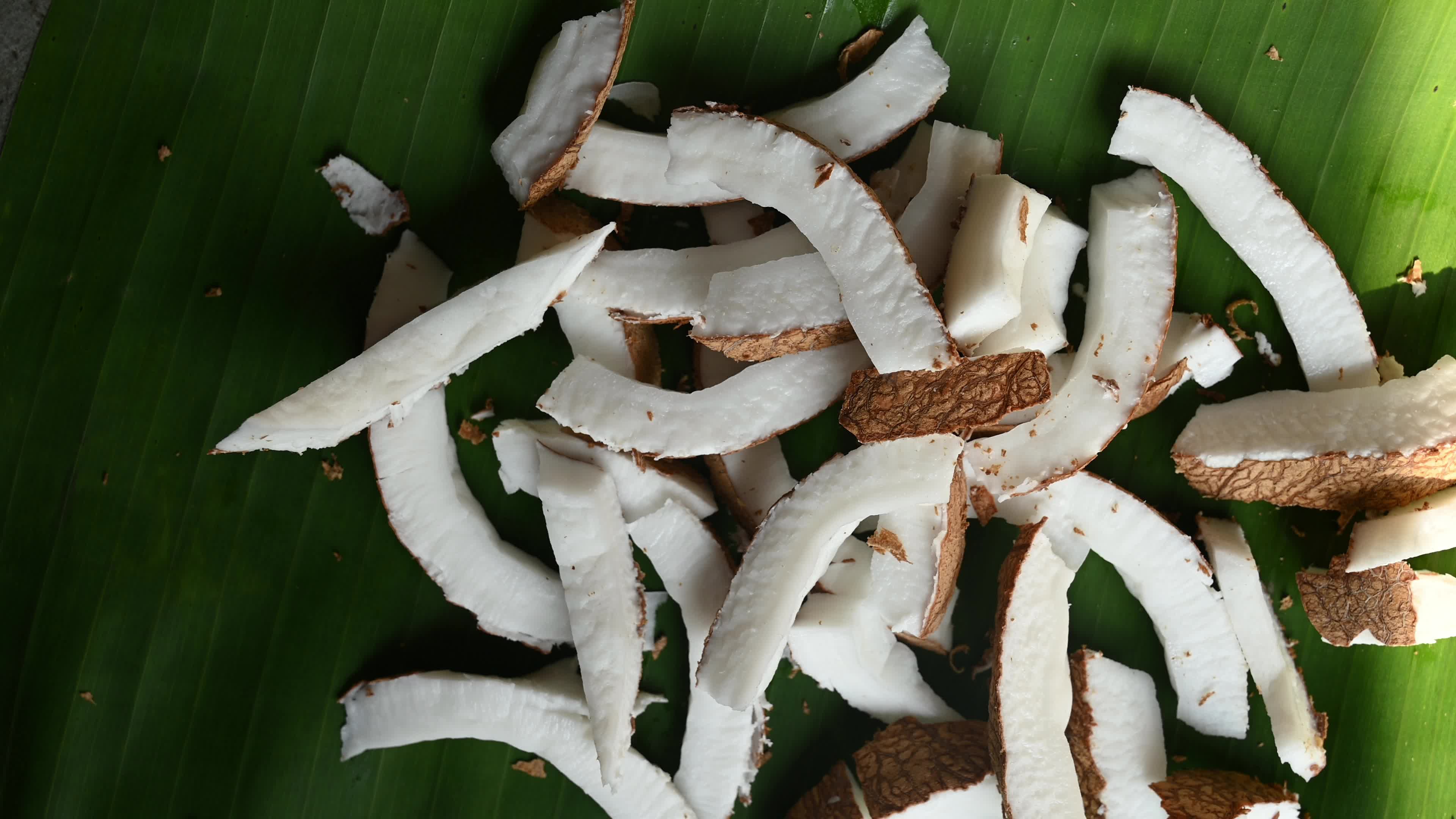 Coconut production - Agriculture in India