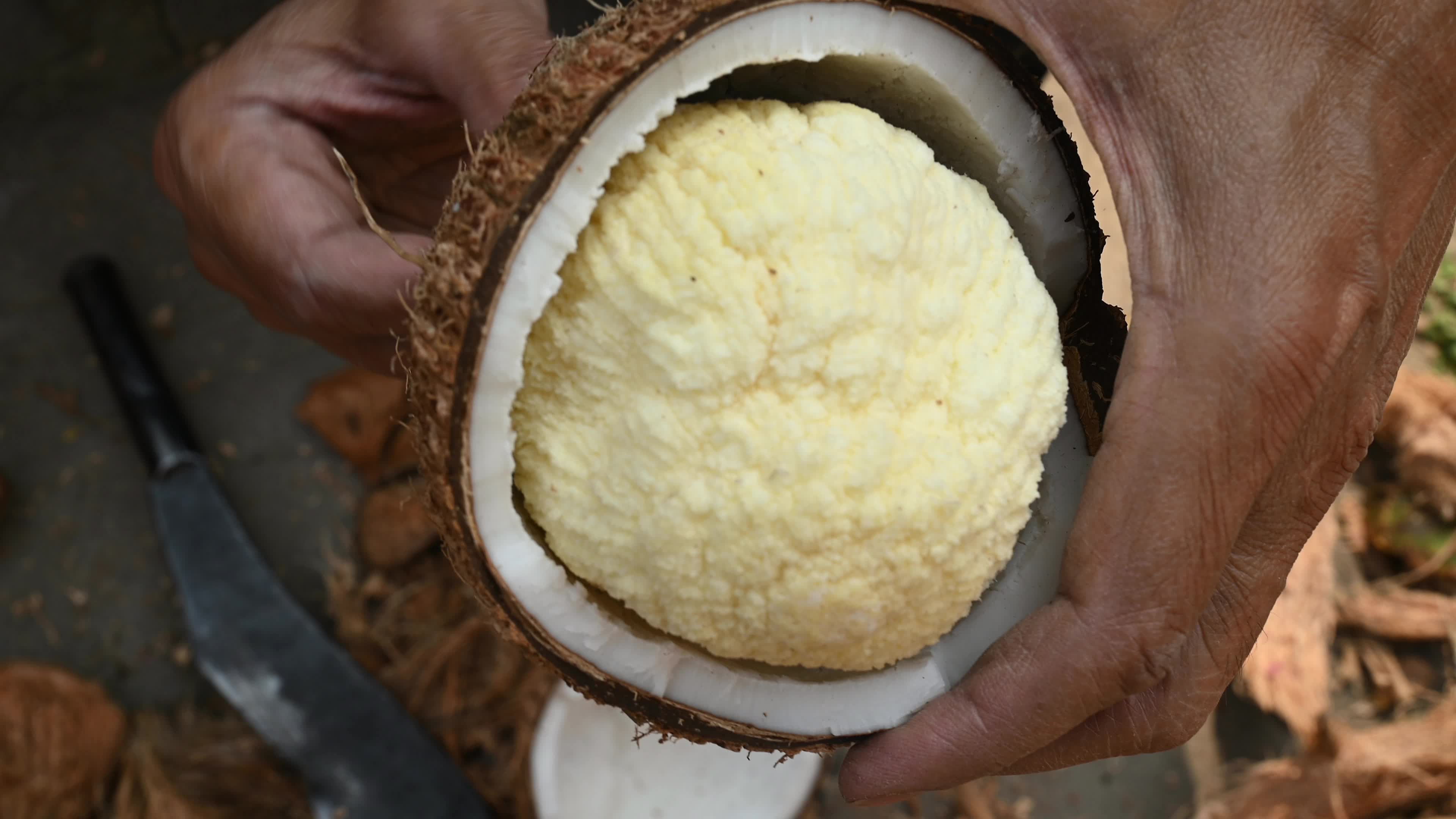 Coconut production - Agriculture in India