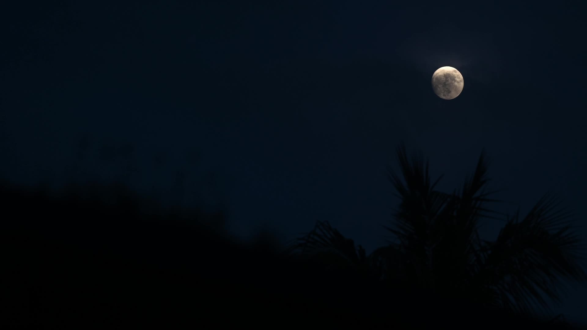 Waxing Gibbous moon on Coconut leaves - 07/27/2026