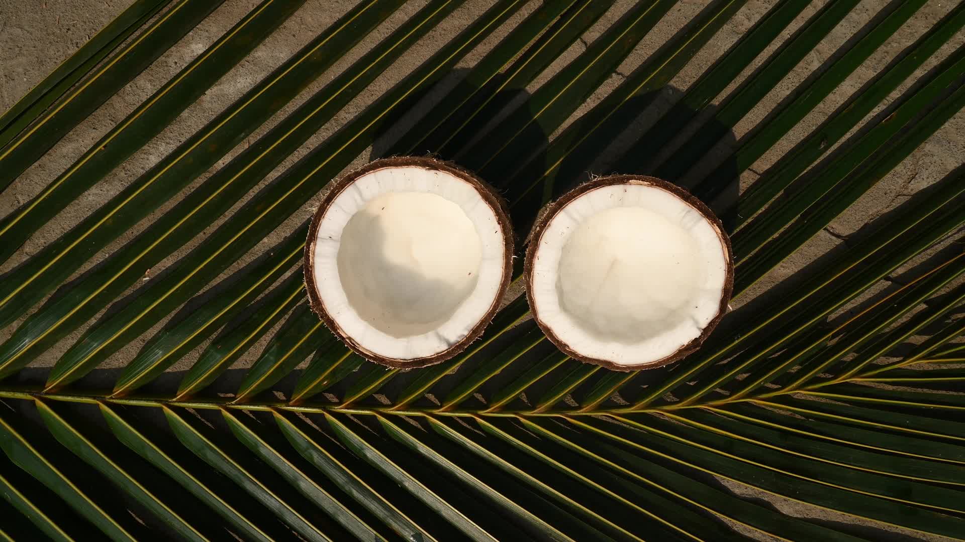 Coconut production - Agriculture in India - 02/26/2026