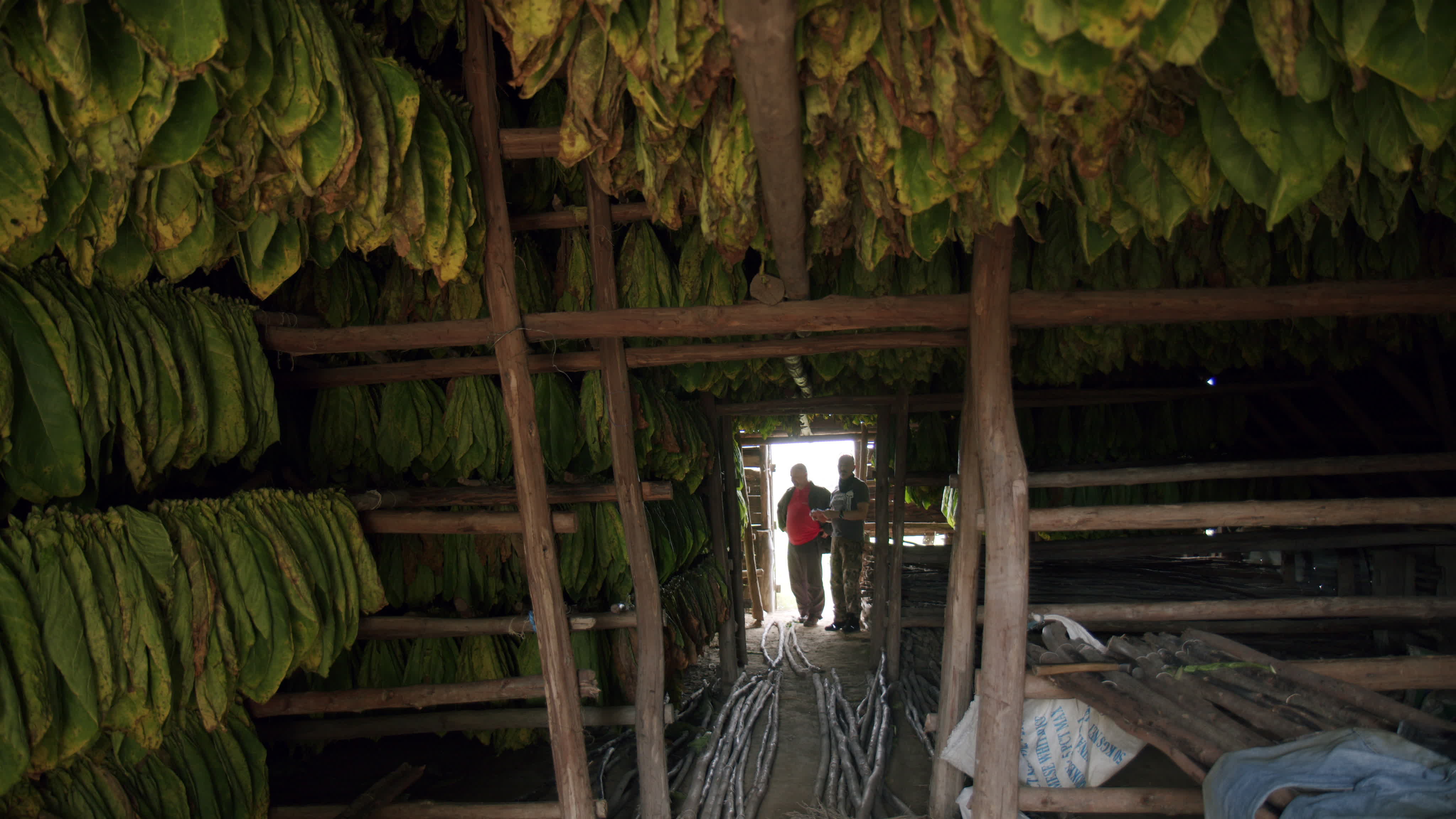 Daily Life In Vinales
