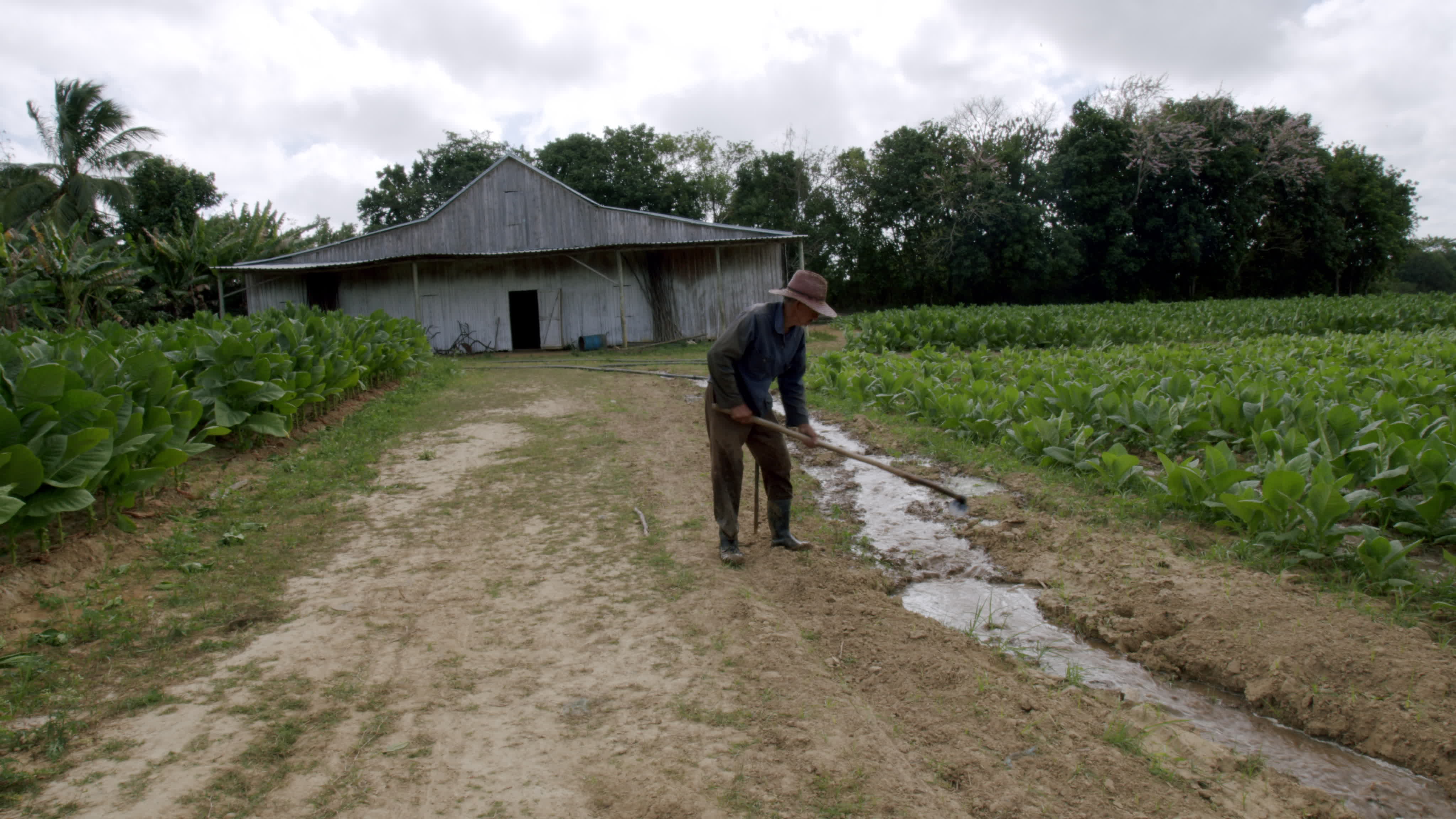 Daily Life In Vinales