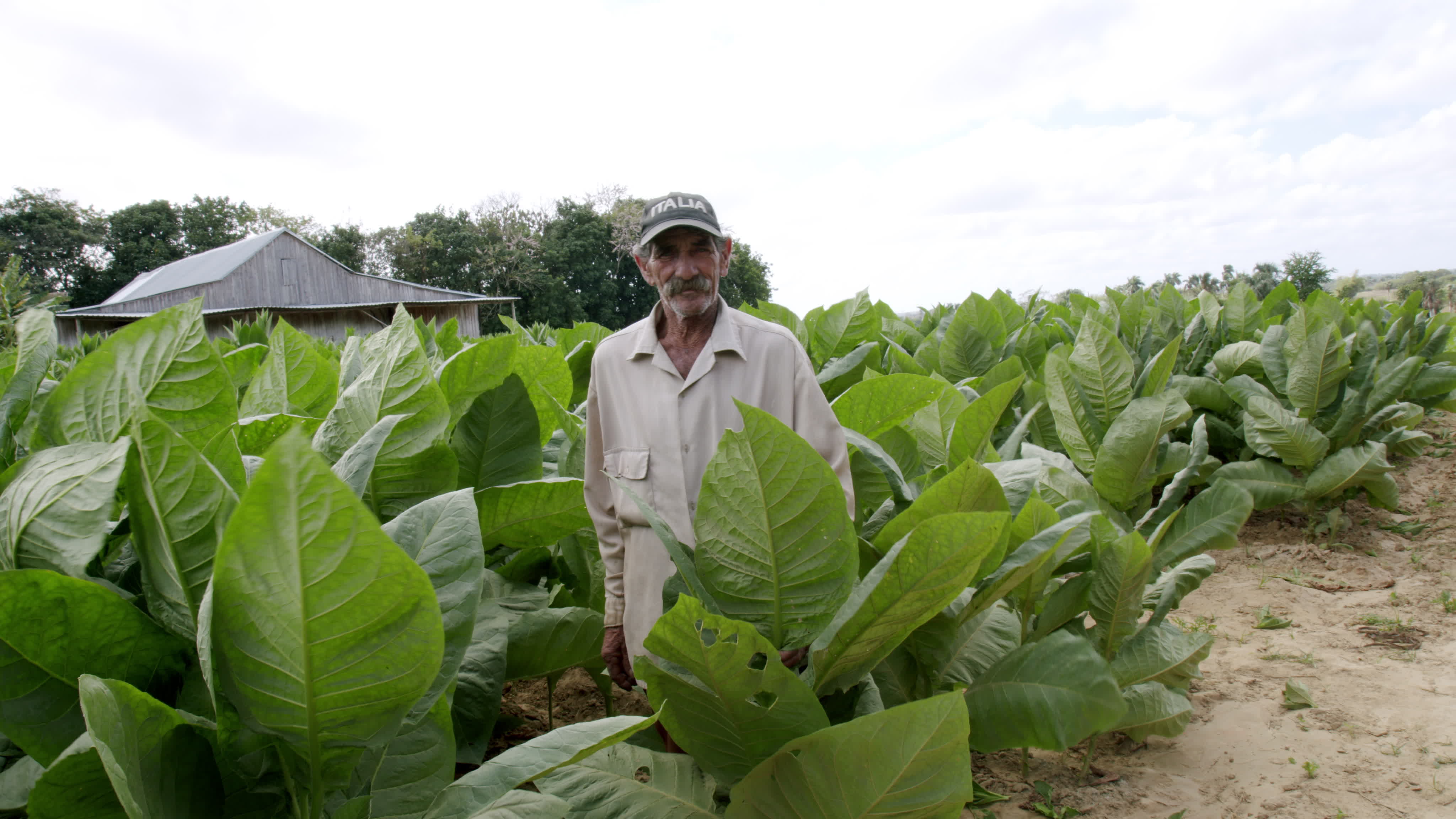 Daily Life In Vinales