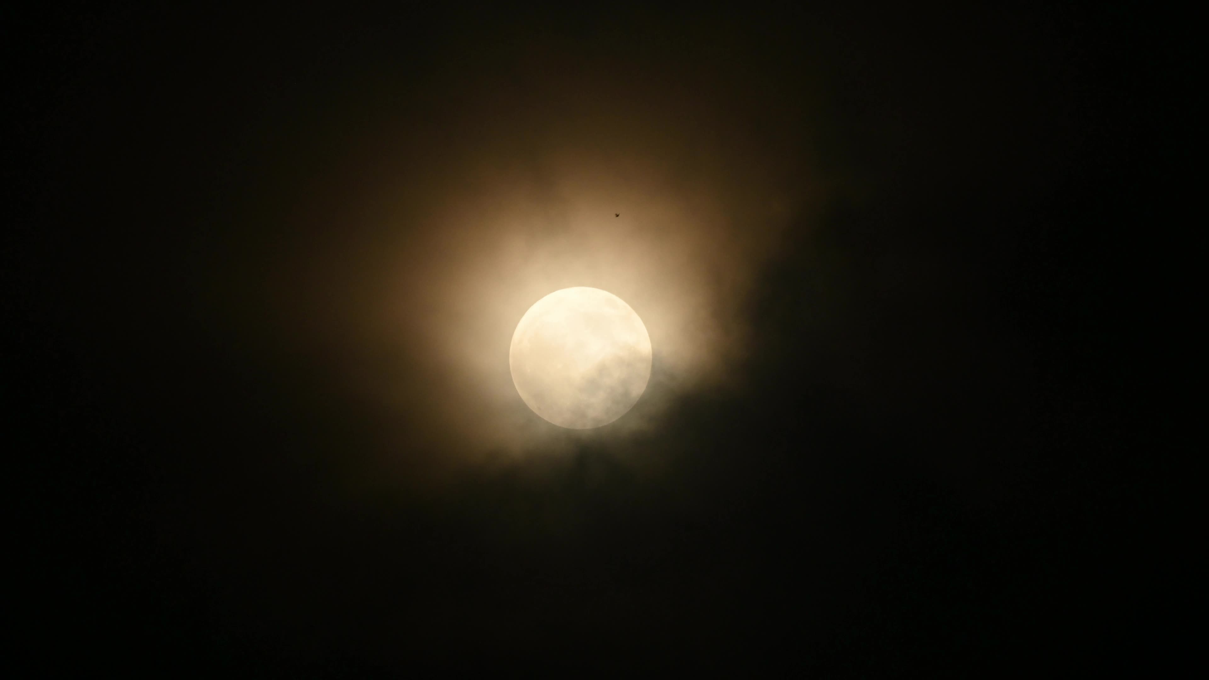 The Buck Moon - July Full Moon -  Cultural and Spiritual Significance