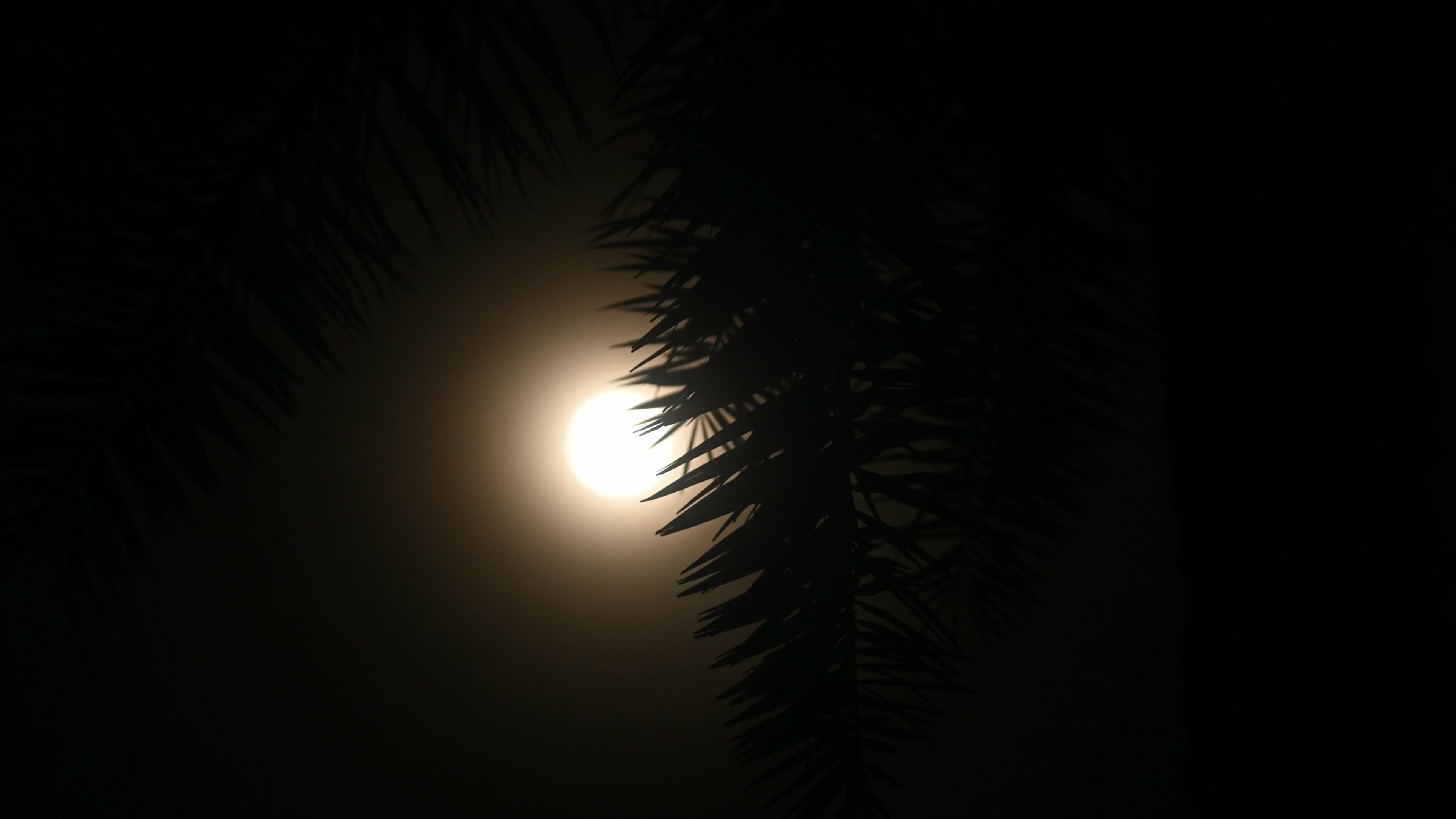 The Buck Moon - July Full Moon -  Cultural and Spiritual Significance