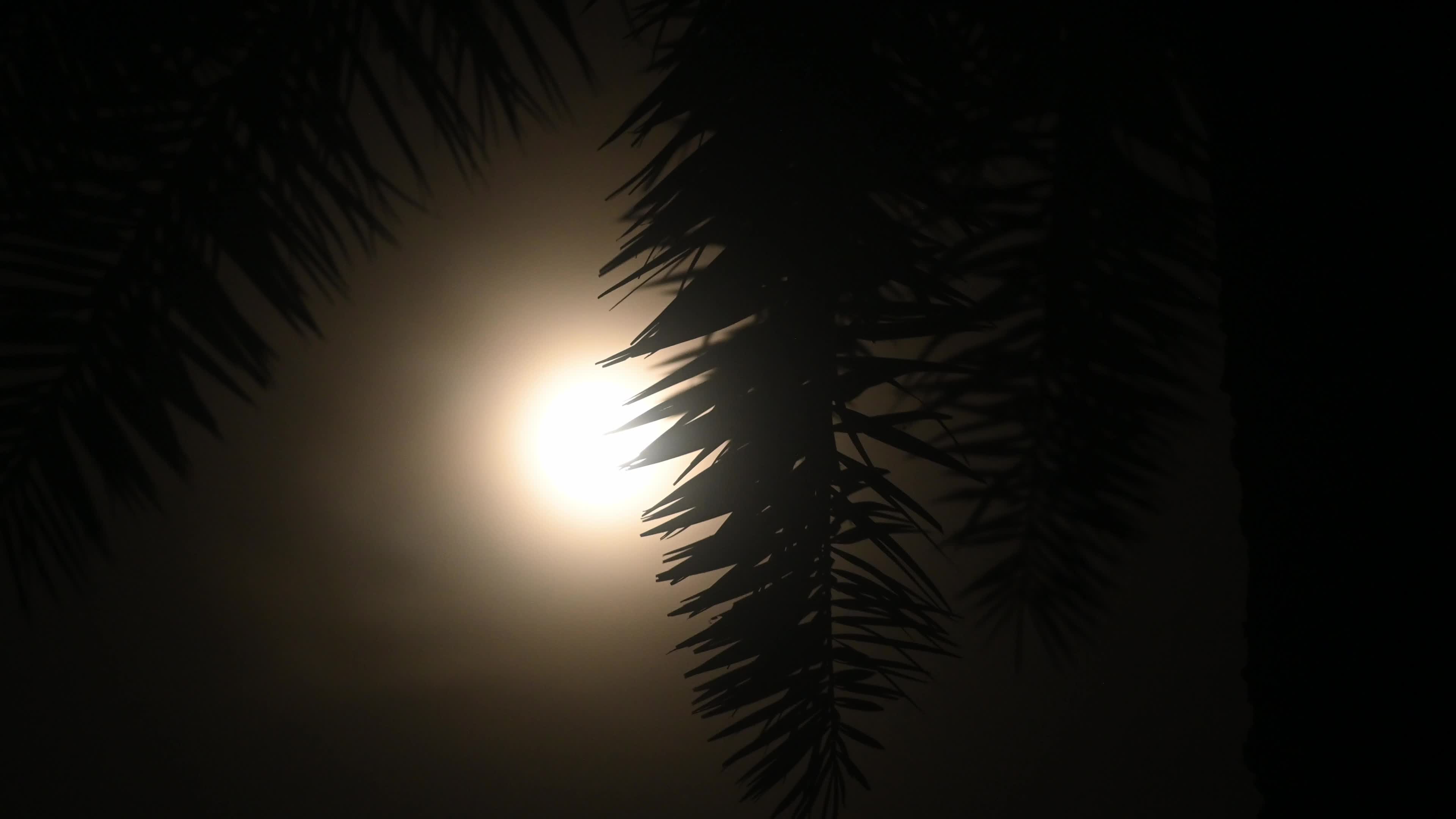 The Buck Moon - July Full Moon -  Cultural and Spiritual Significance