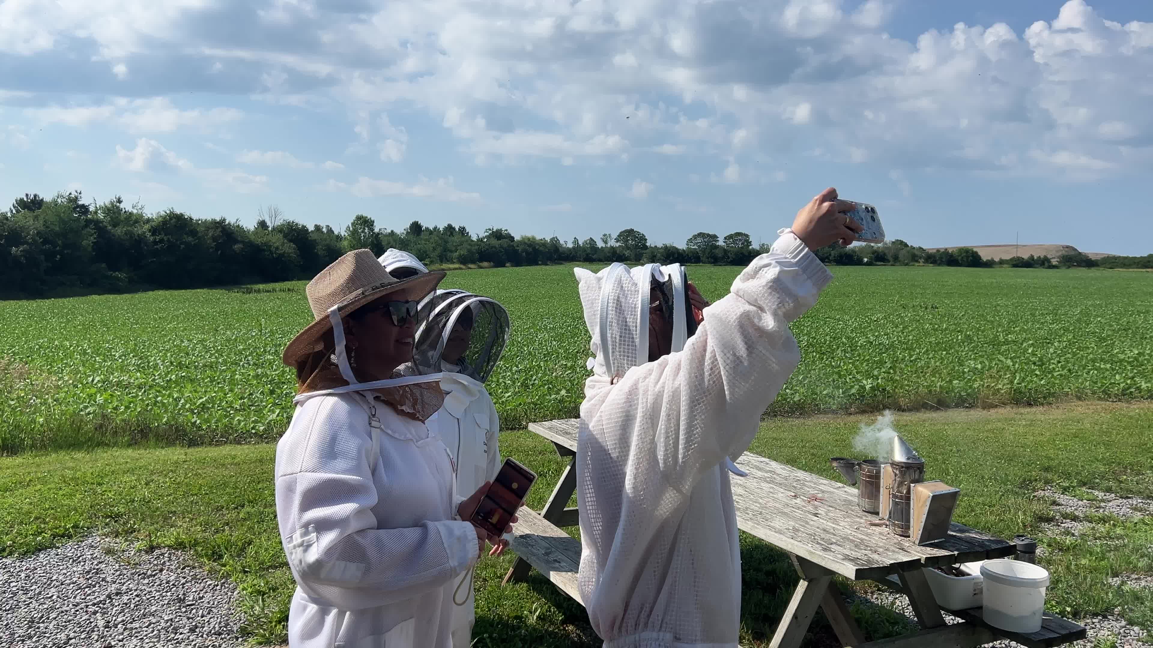 Honey production in Canada
