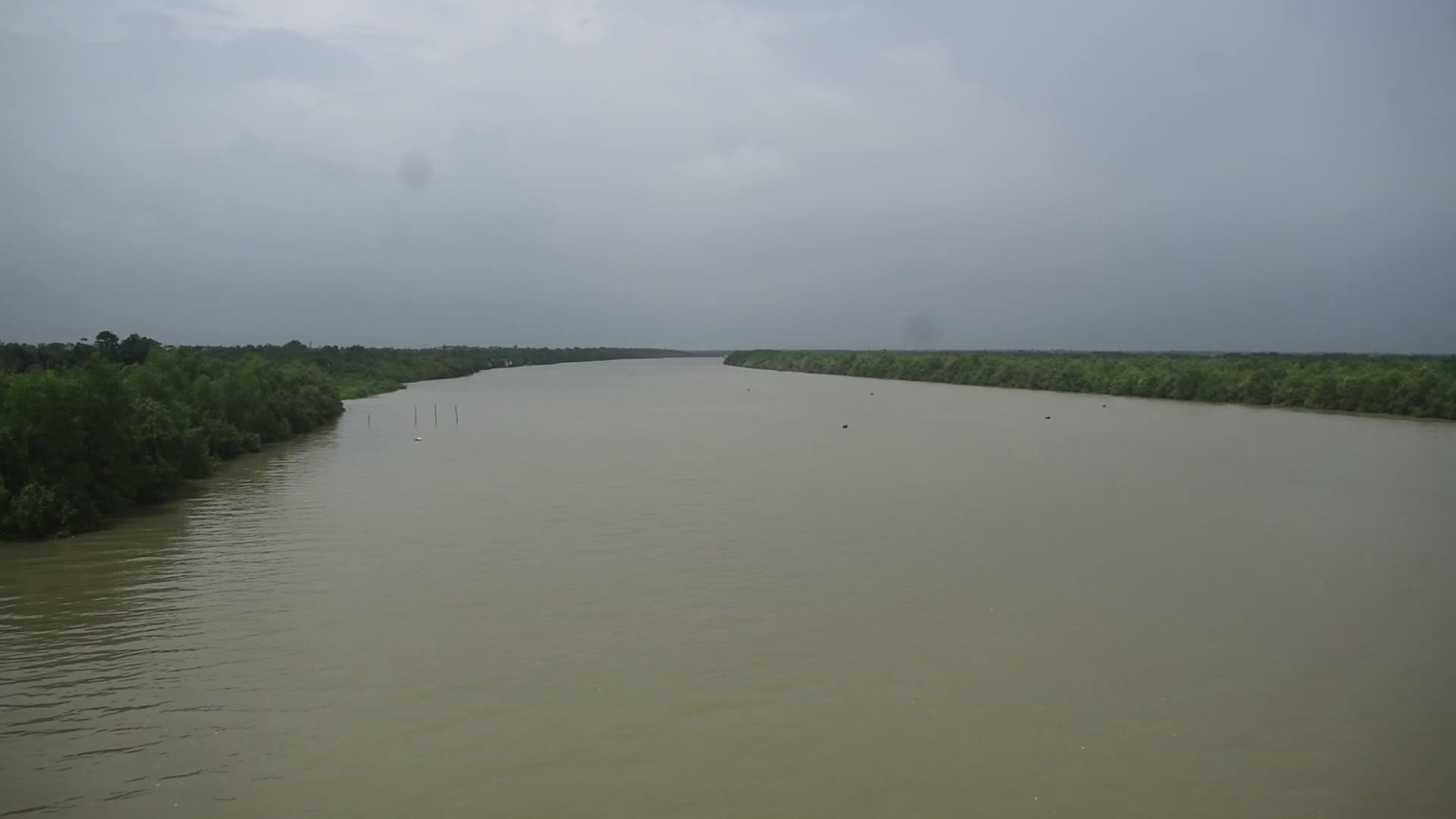 Mangrove Forests Along The Matla River In West Bengal