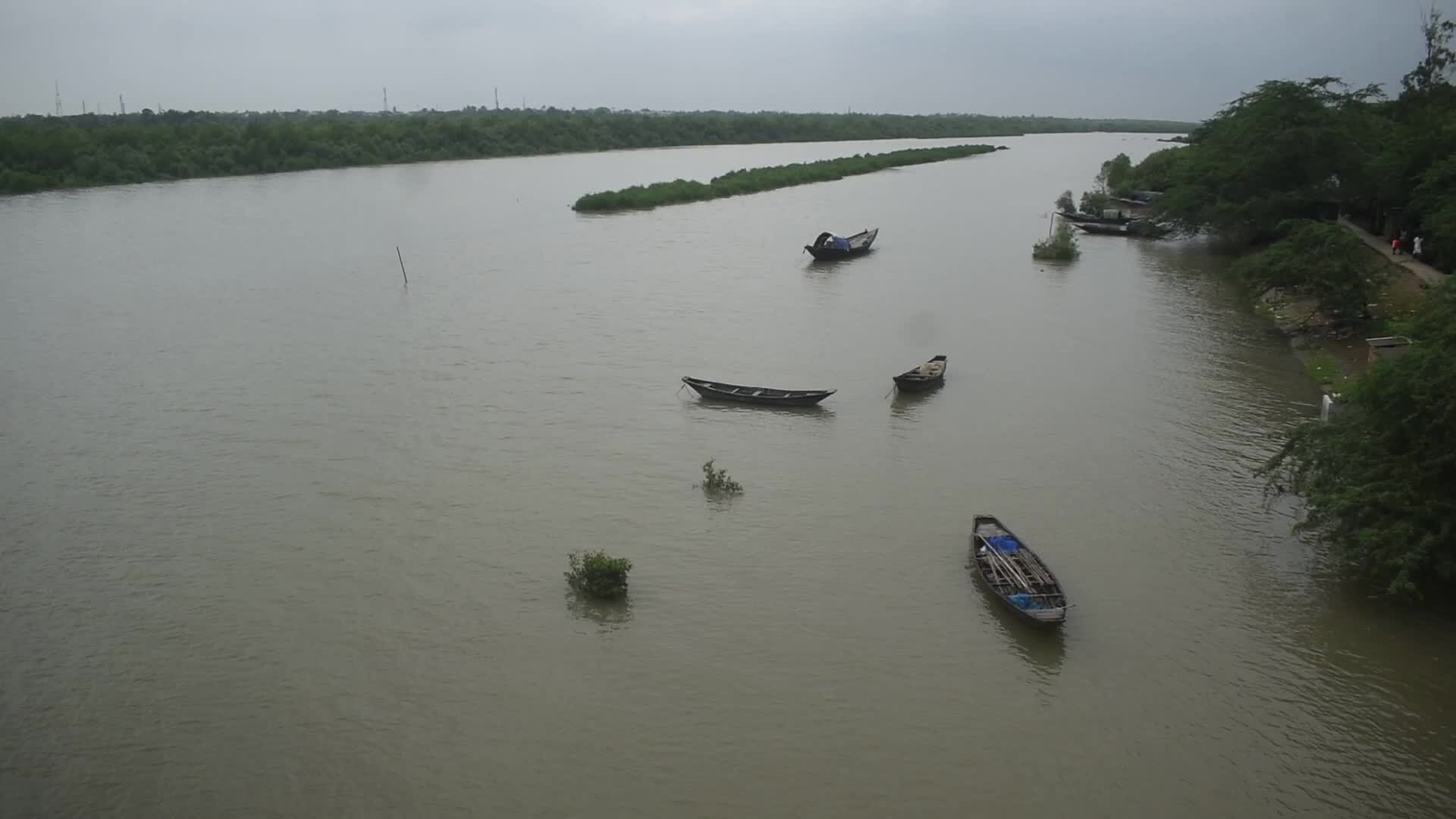 Mangrove Forests Along The Matla River In West Bengal