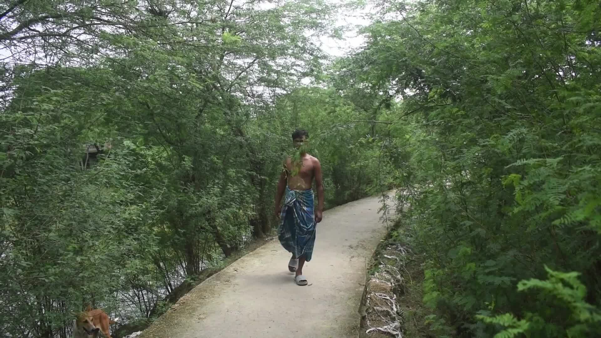 Mangrove Forests Along The Matla River In West Bengal