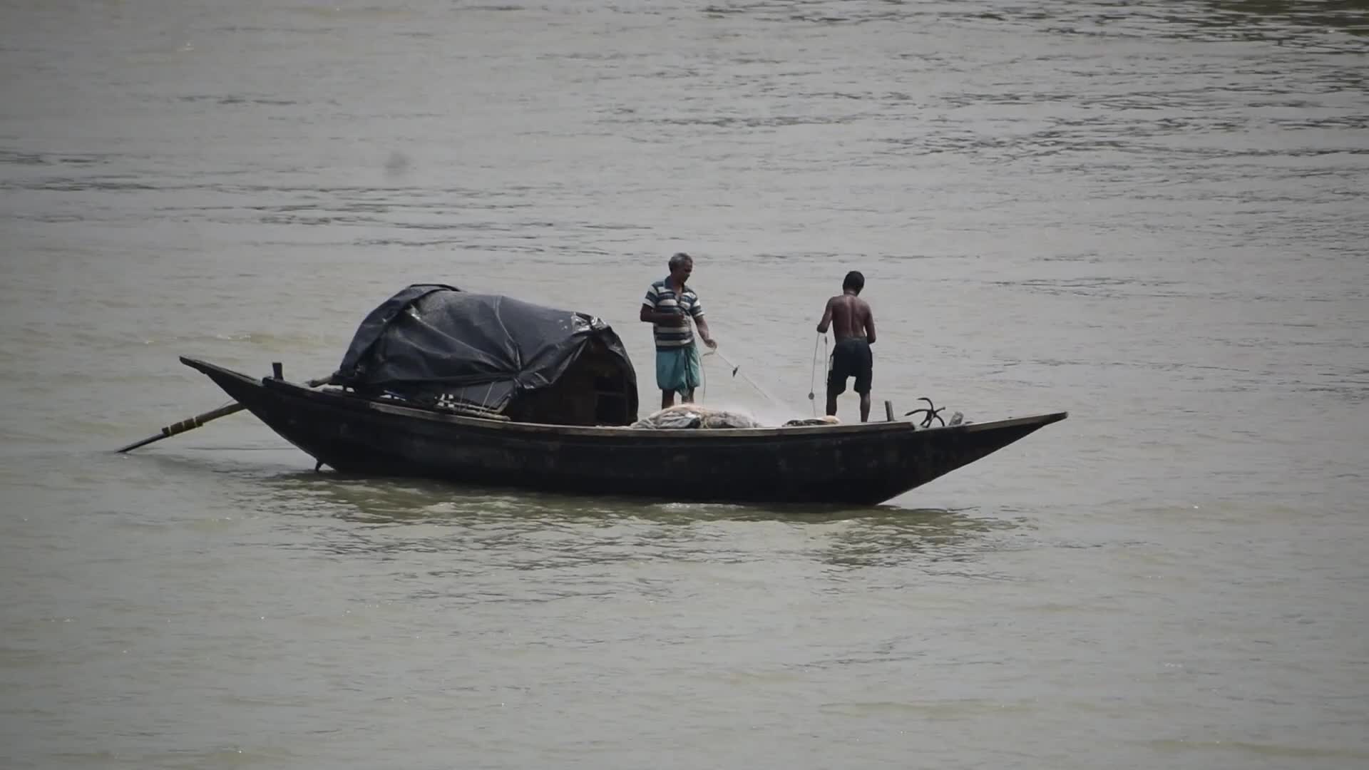 Mangrove Forests Along The Matla River In West Bengal