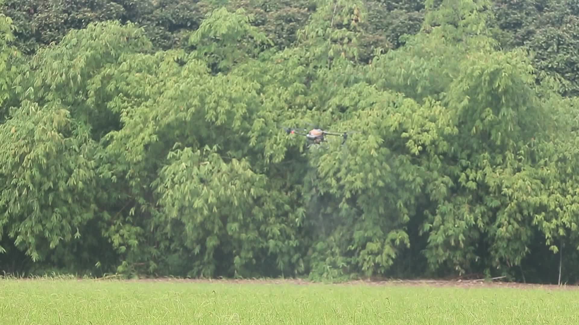 Thailand Agriculture
