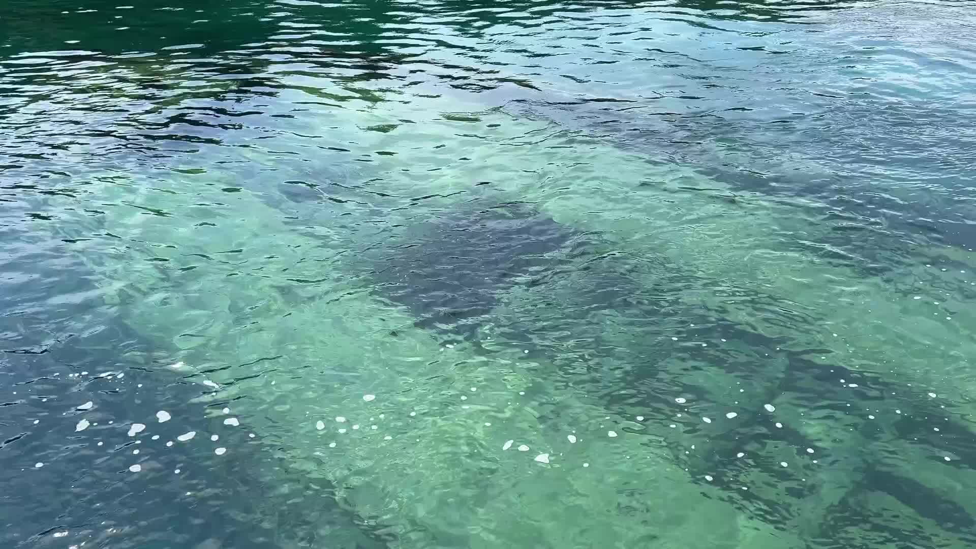 Shipwreck of the Sweepstatkes is seen in Big Tub Harbour