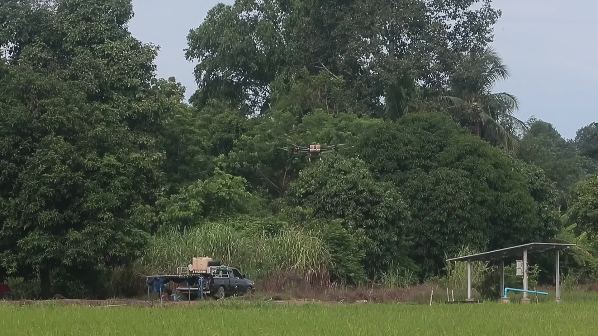 Thailand Agriculture