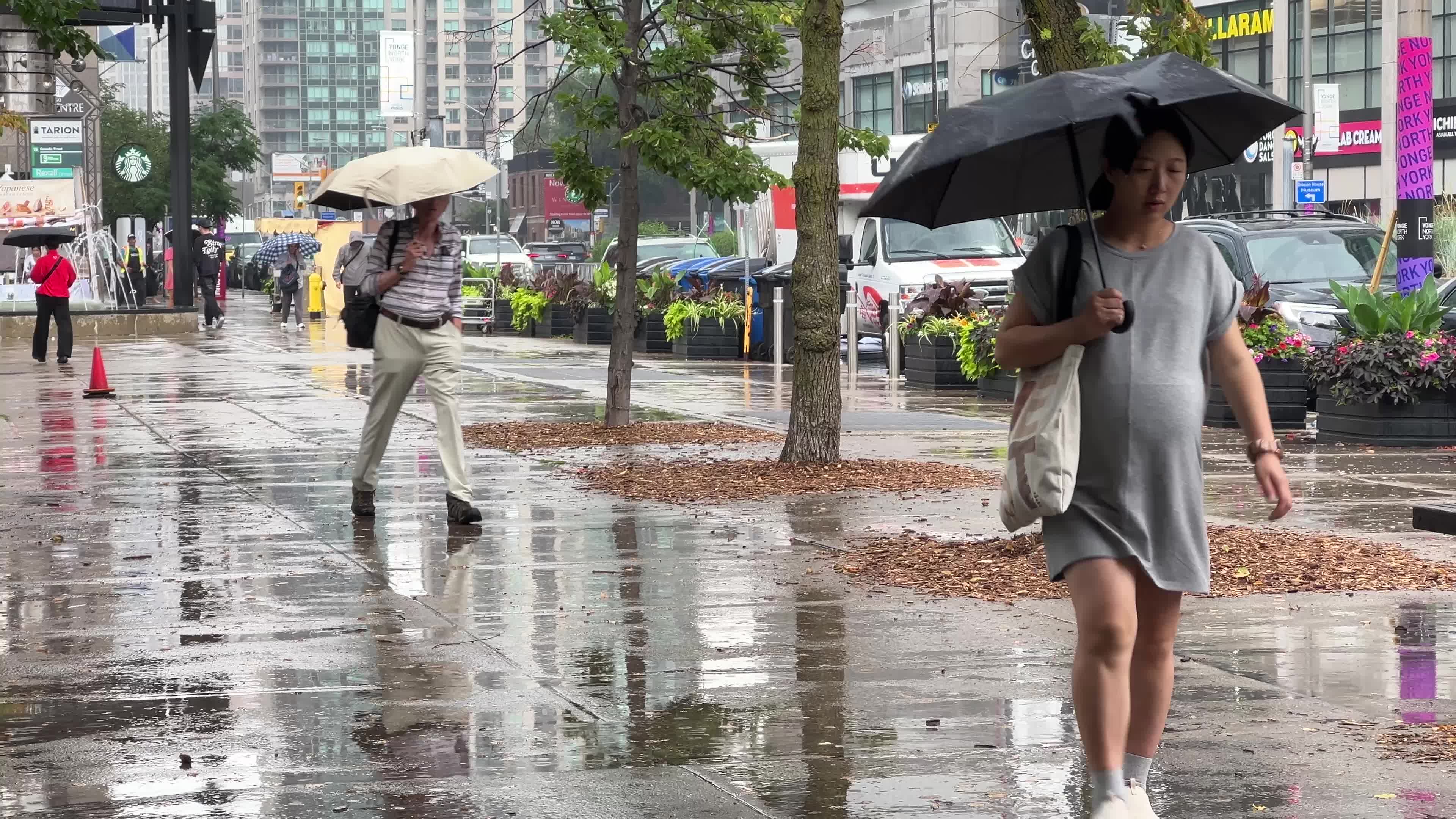 Rainstorm in Toronto