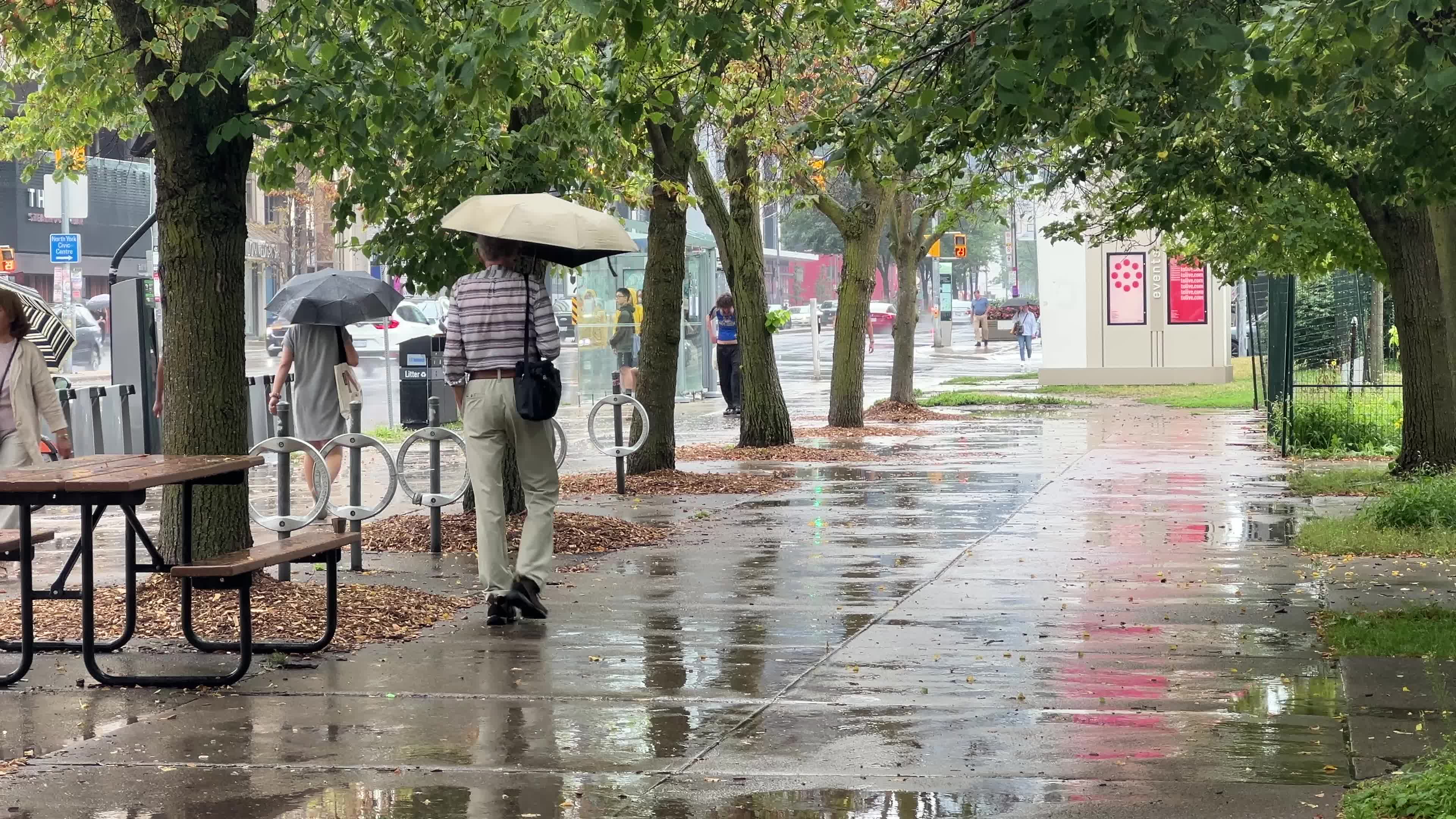 Rainstorm in Toronto
