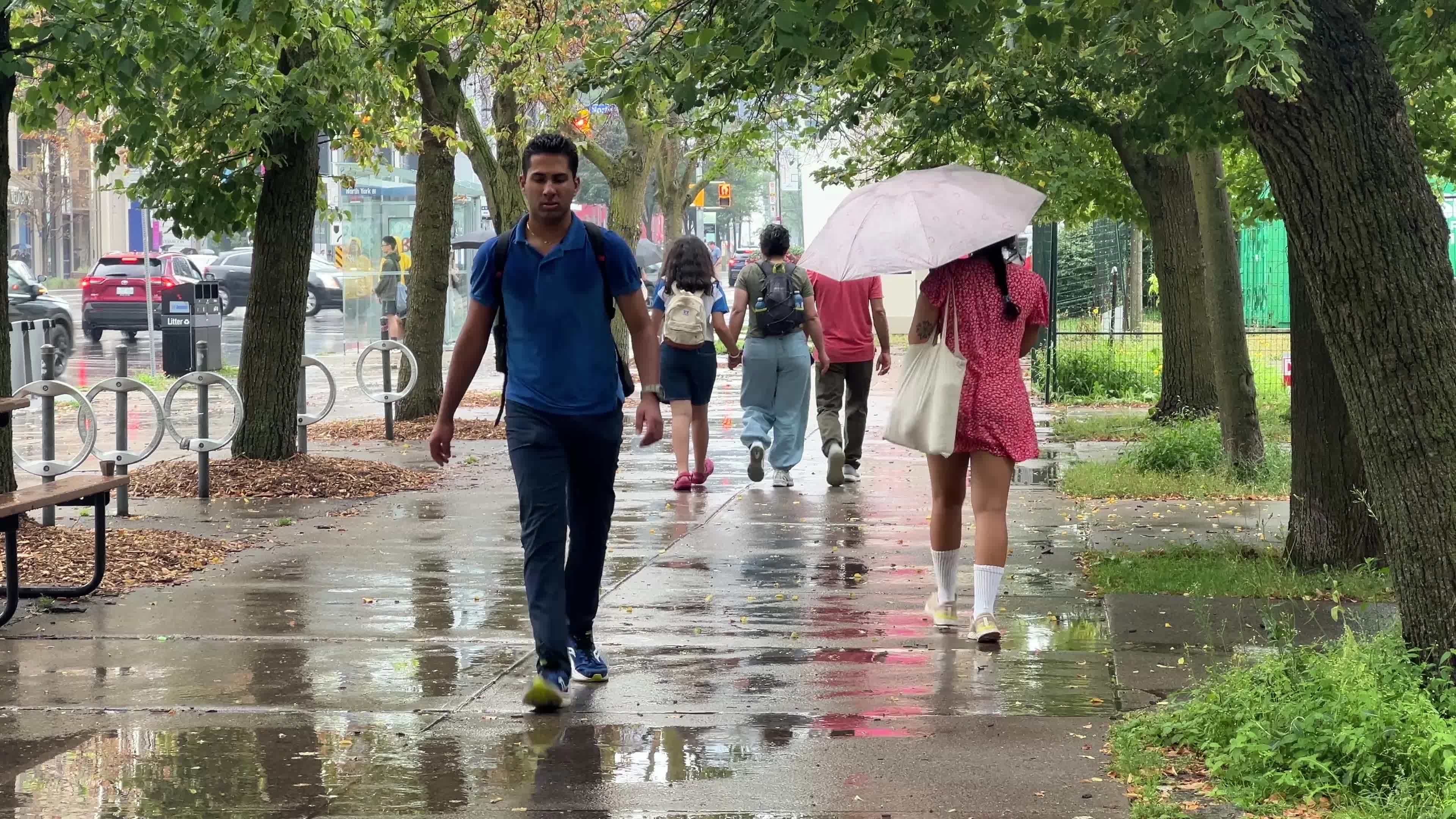 Rainstorm in Toronto