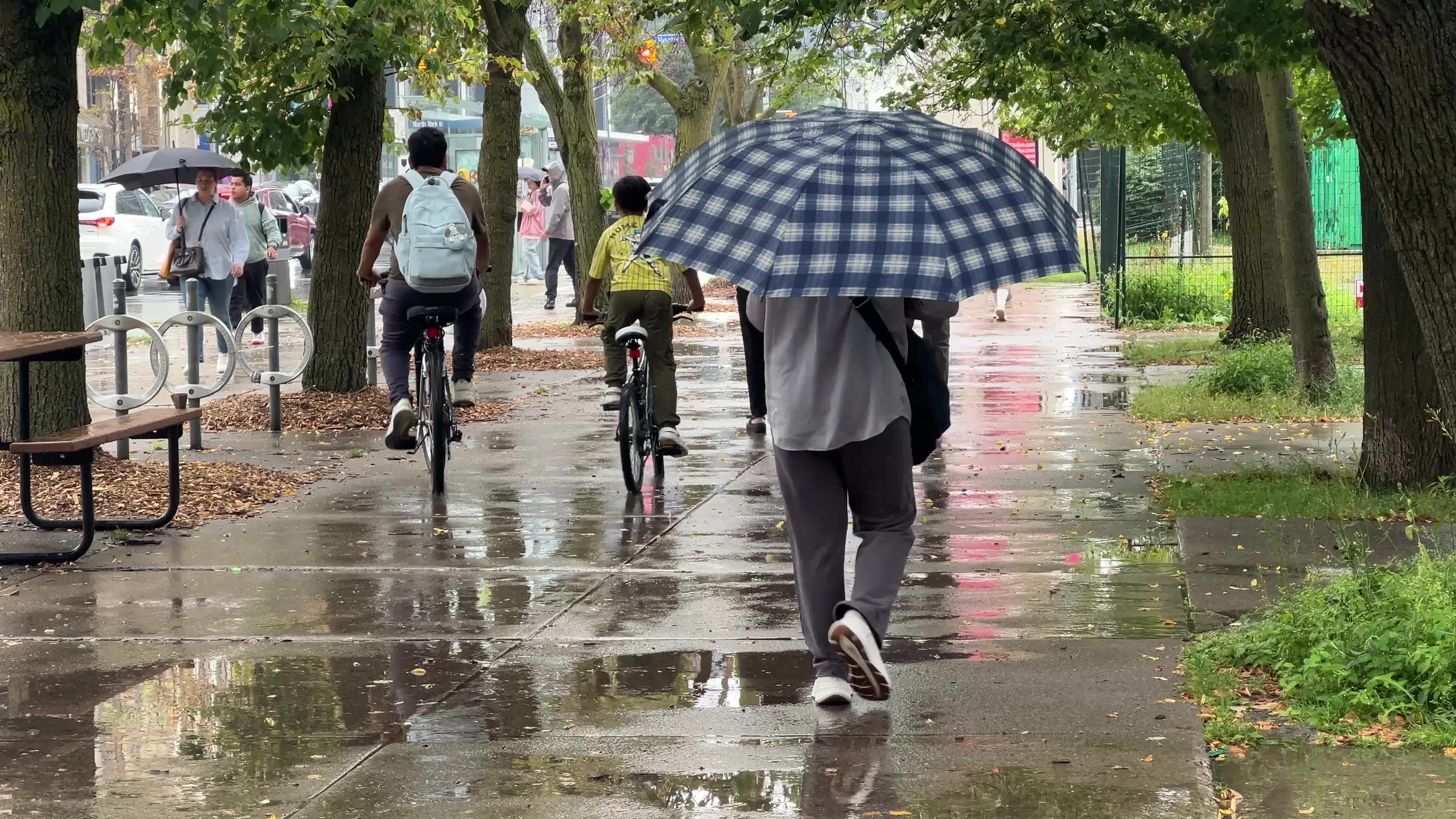 Rainstorm in Toronto