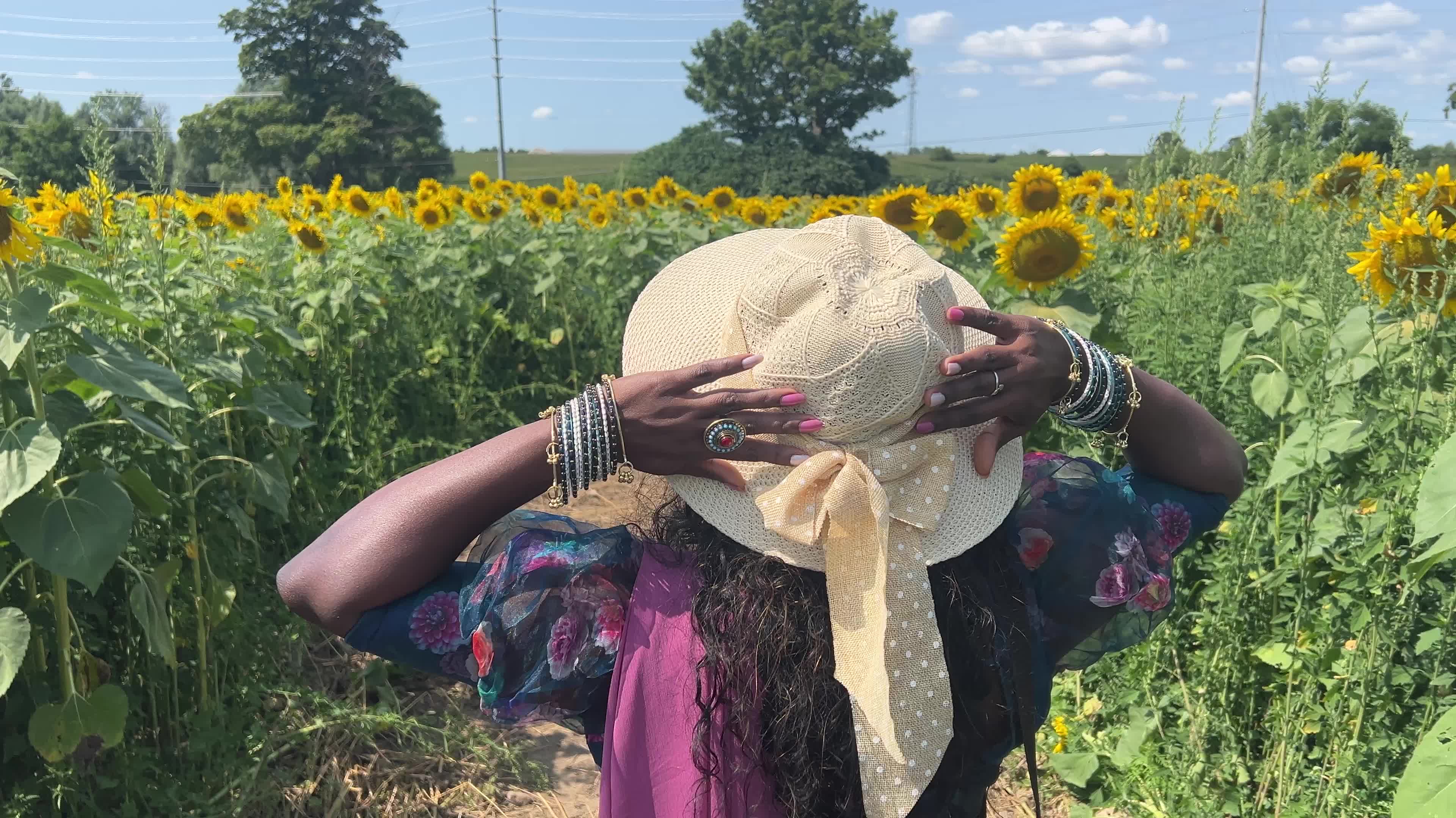Agriculture in Canada - Sunflowers