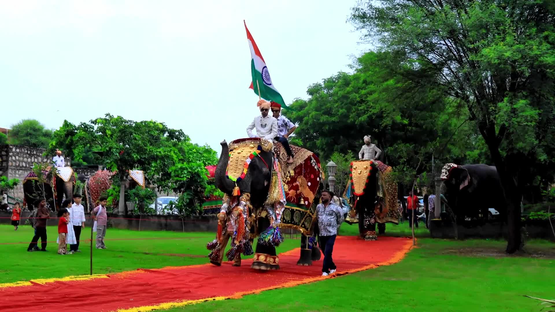 Elephant Fashion Show In Jaipur