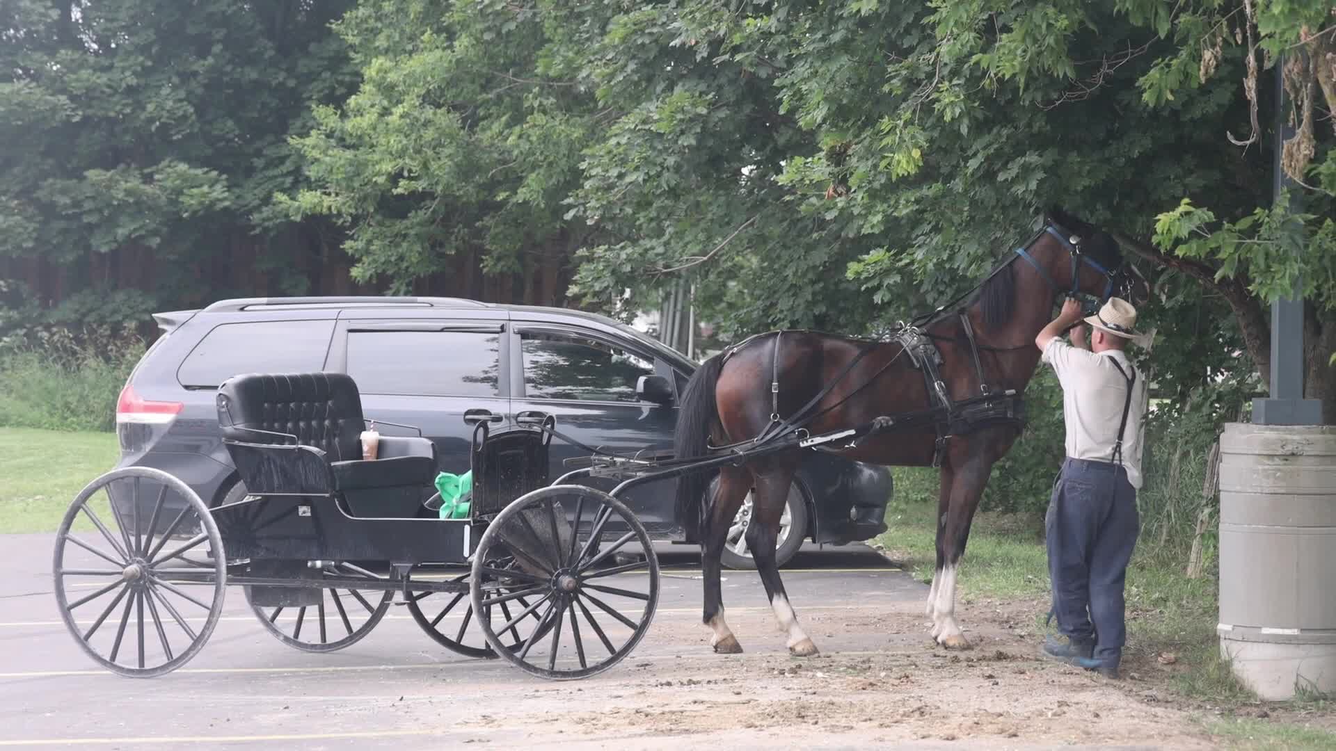 Daily life in Grey Highlands