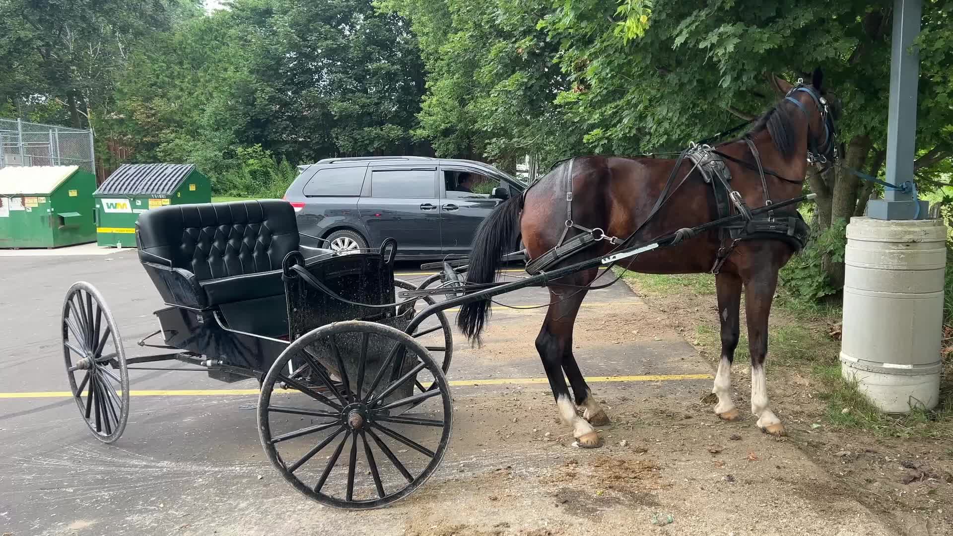 Daily life in Grey Highlands