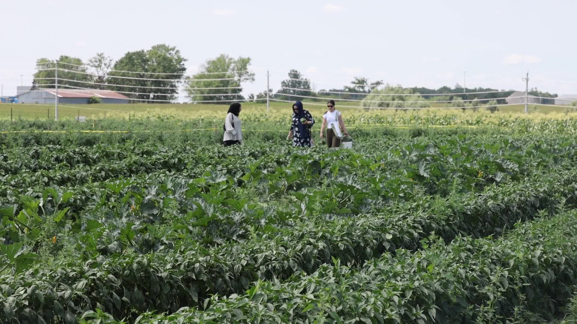 Agriculture in Canada
