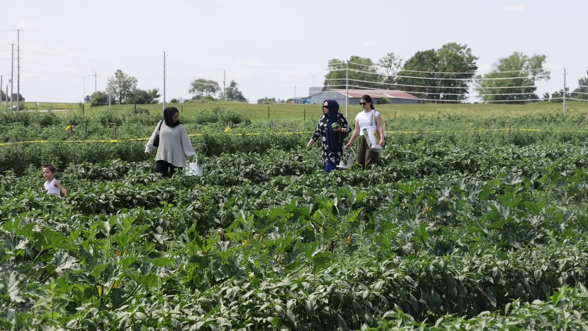 Agriculture in Canada