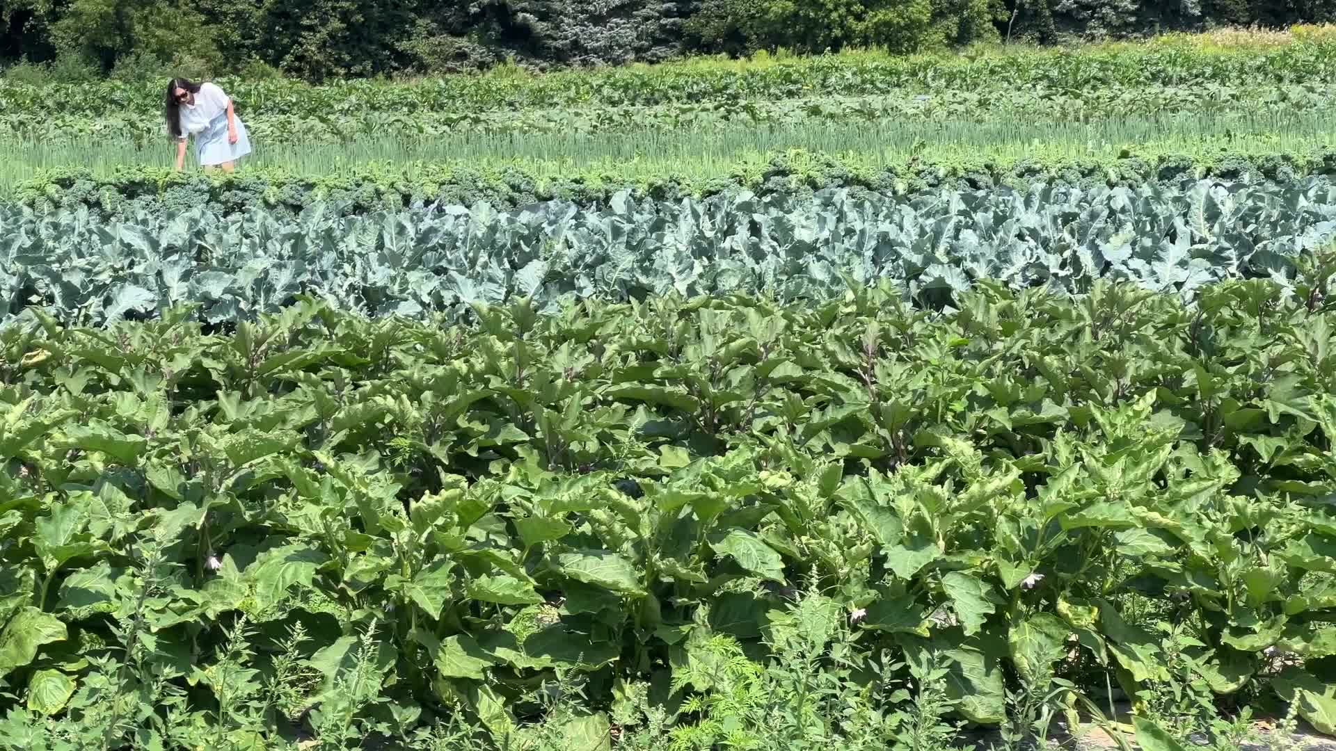 Agriculture in Canada