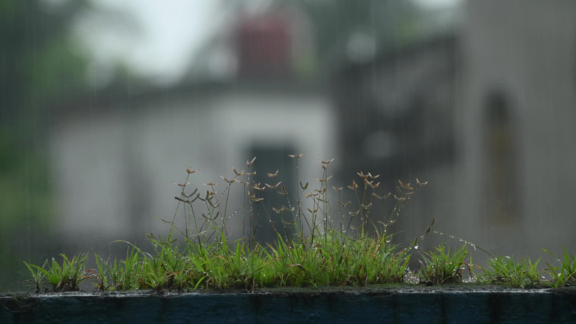 Monsoon rainfall in India