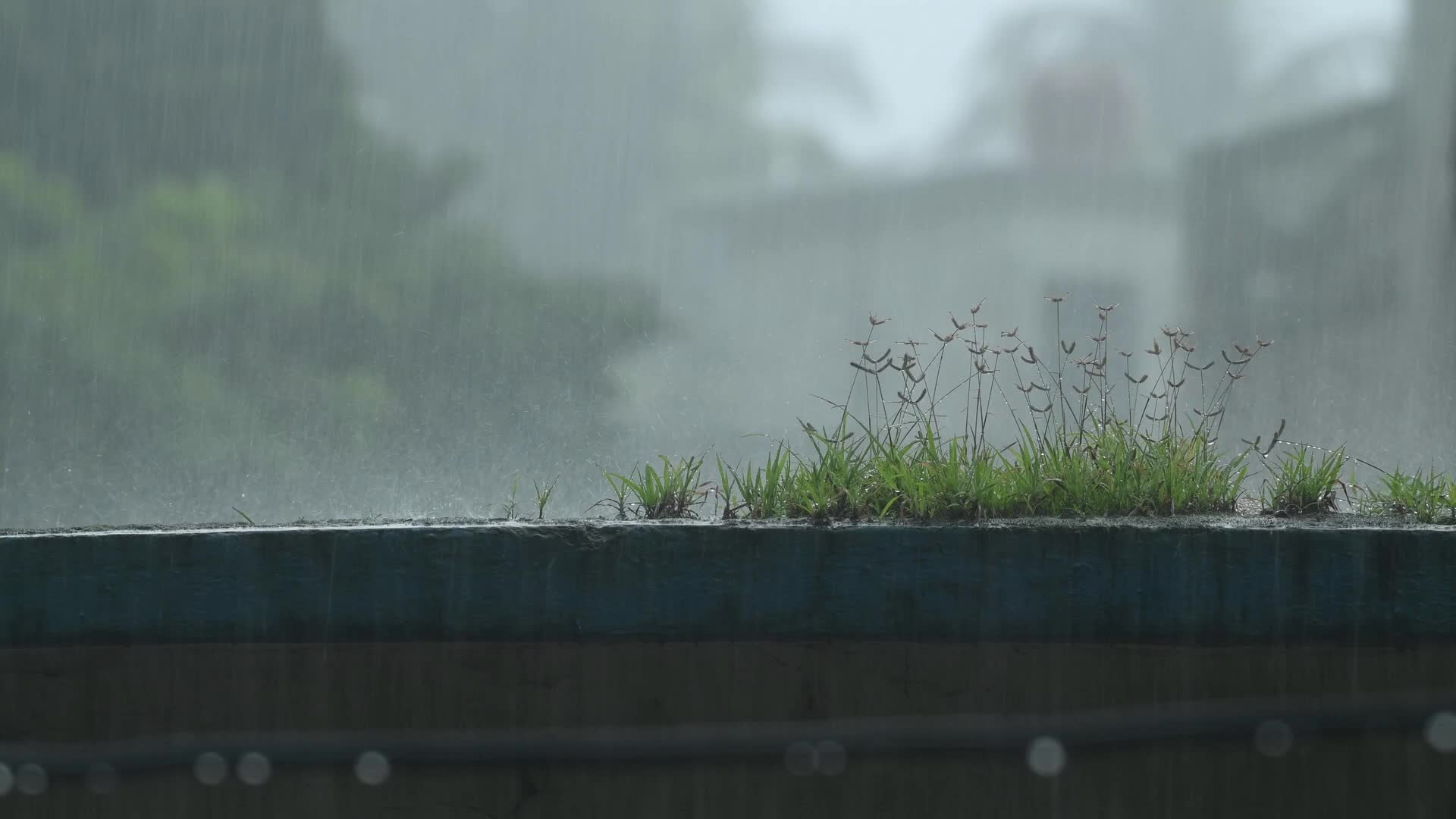 Monsoon rainfall in India