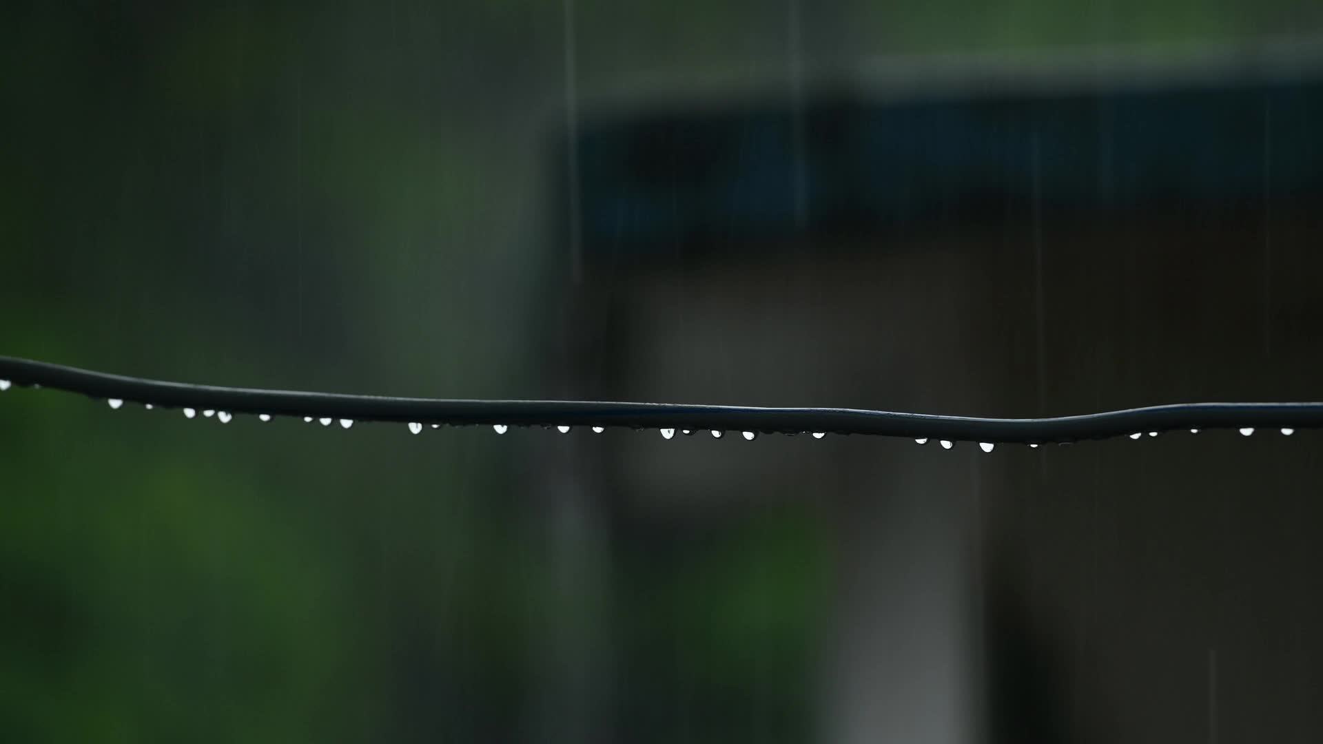 Monsoon rainfall in India