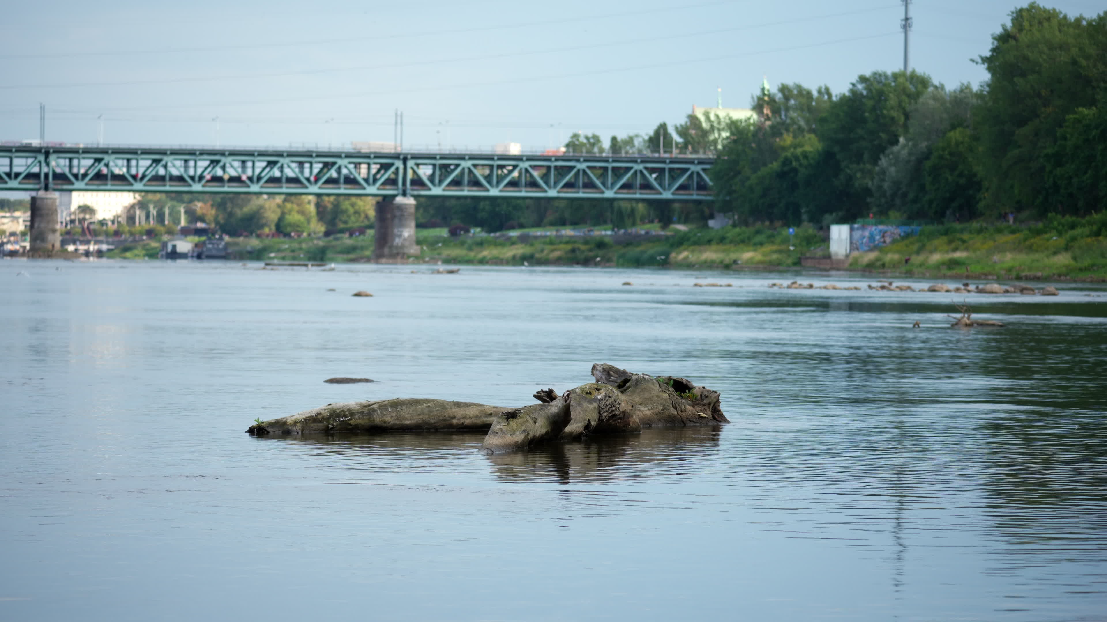 Vistula river remains at critically low levels as hydrological drought continues