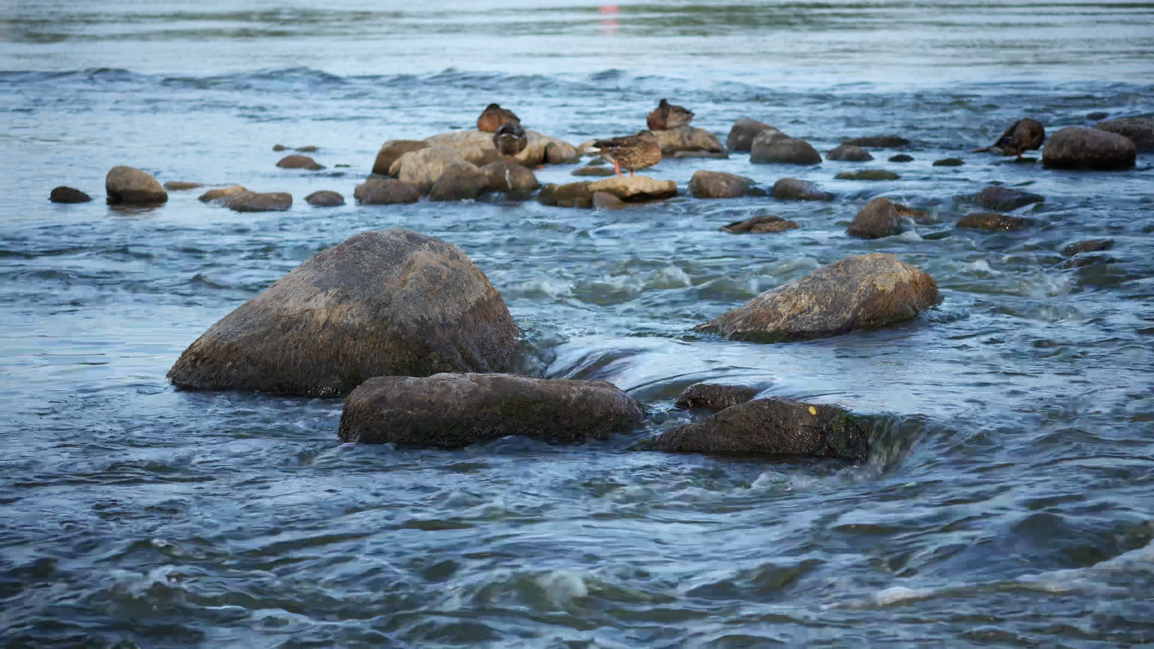 Vistula river remains at critically low levels as hydrological drought continues